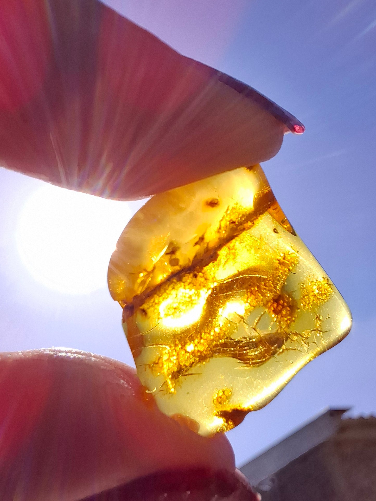 Baltic Amber, 1.51g, Fossil (Ref: A236)
