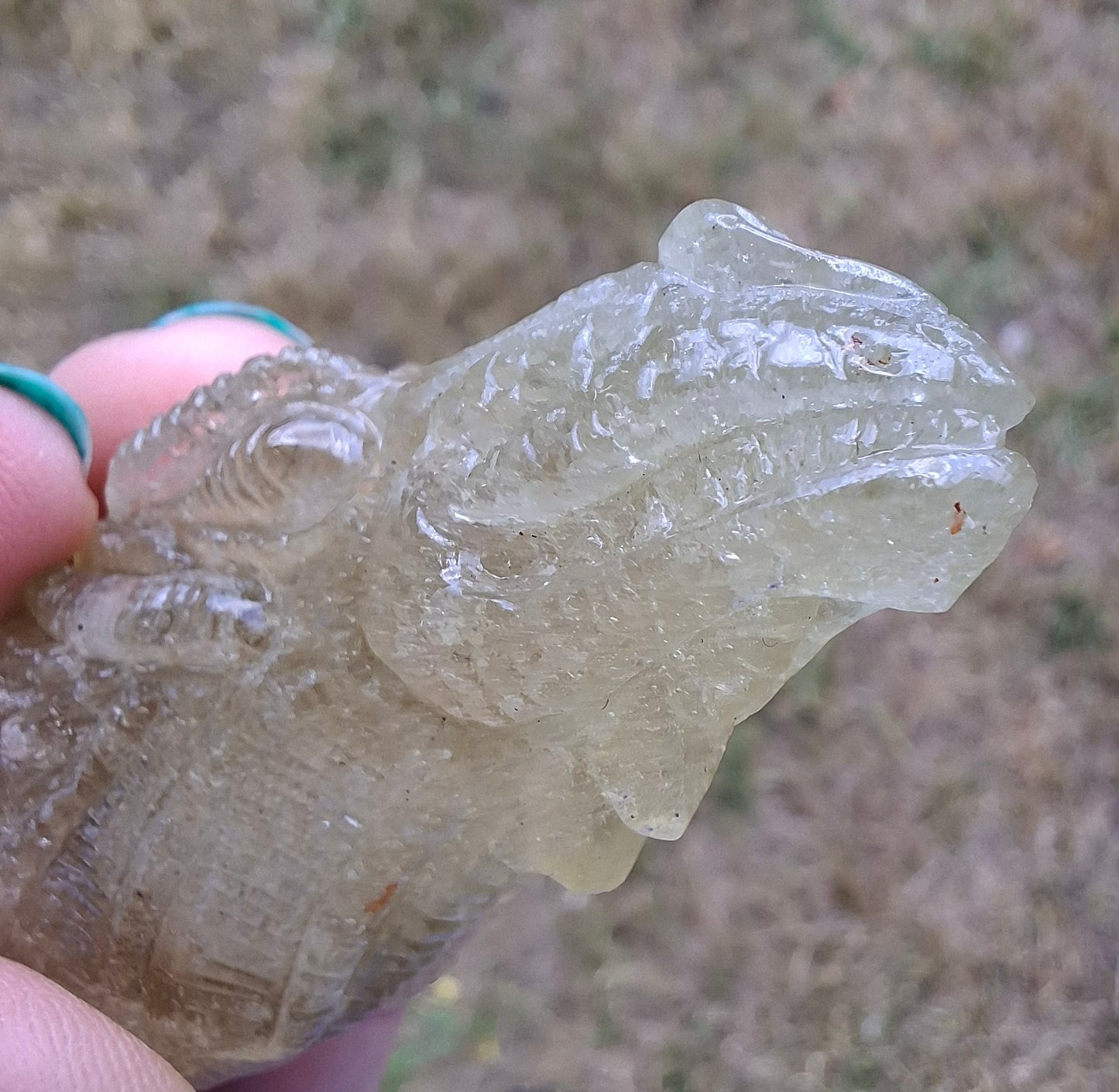 Libyan Desert Glass DRAGON HEAD carving, 48.11g, Tektite (Ref: Dragon4)