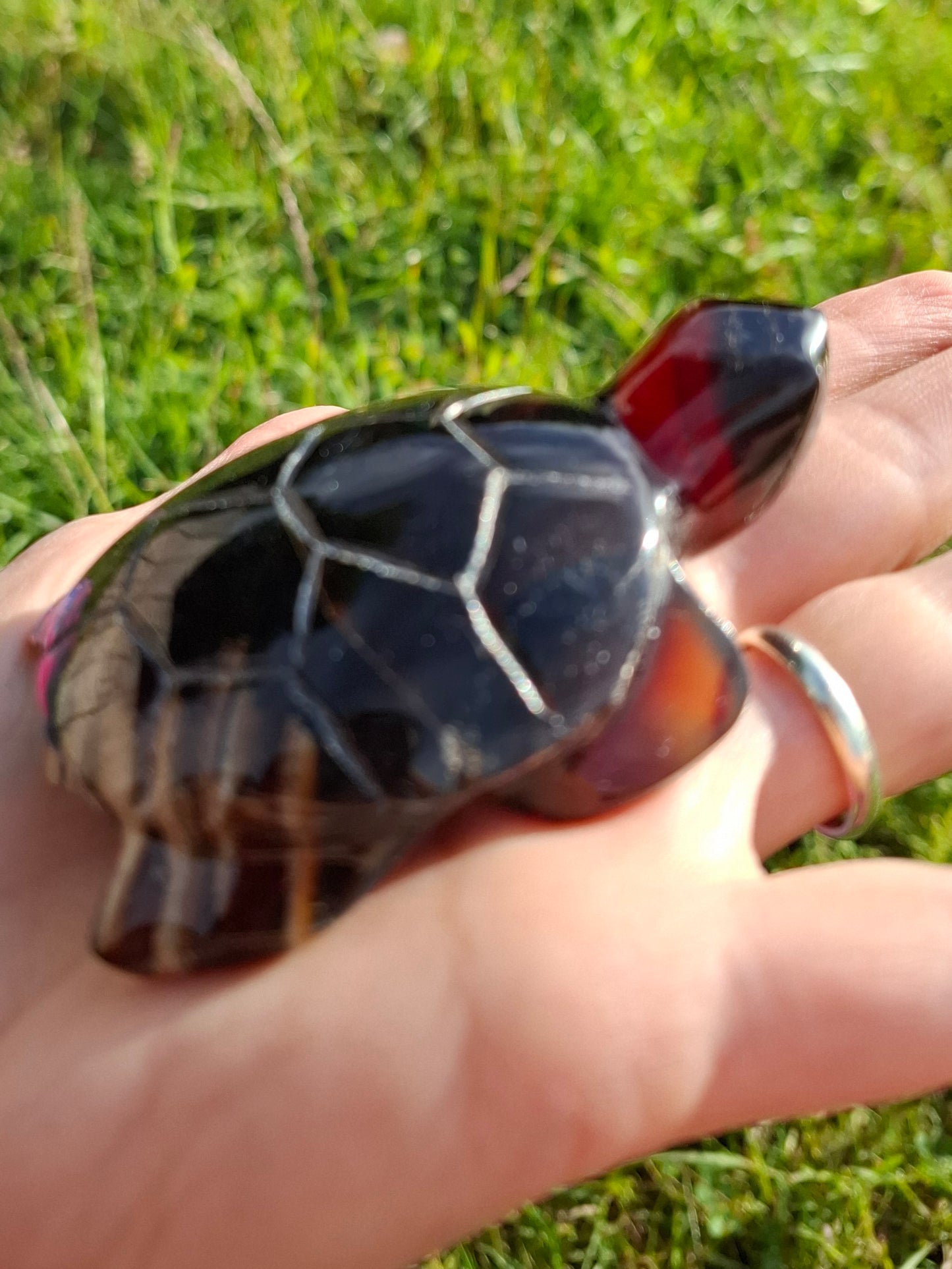 Red Amber Turtle, 59.07g, Carving, Fossil (Ref: TT5)