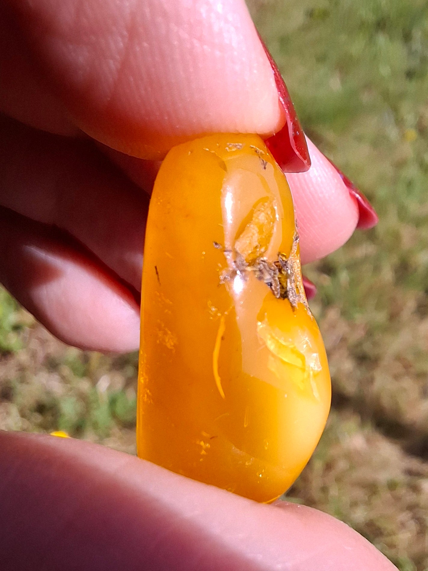 Baltic Amber, 1.74g, Fossil (Ref: A228)