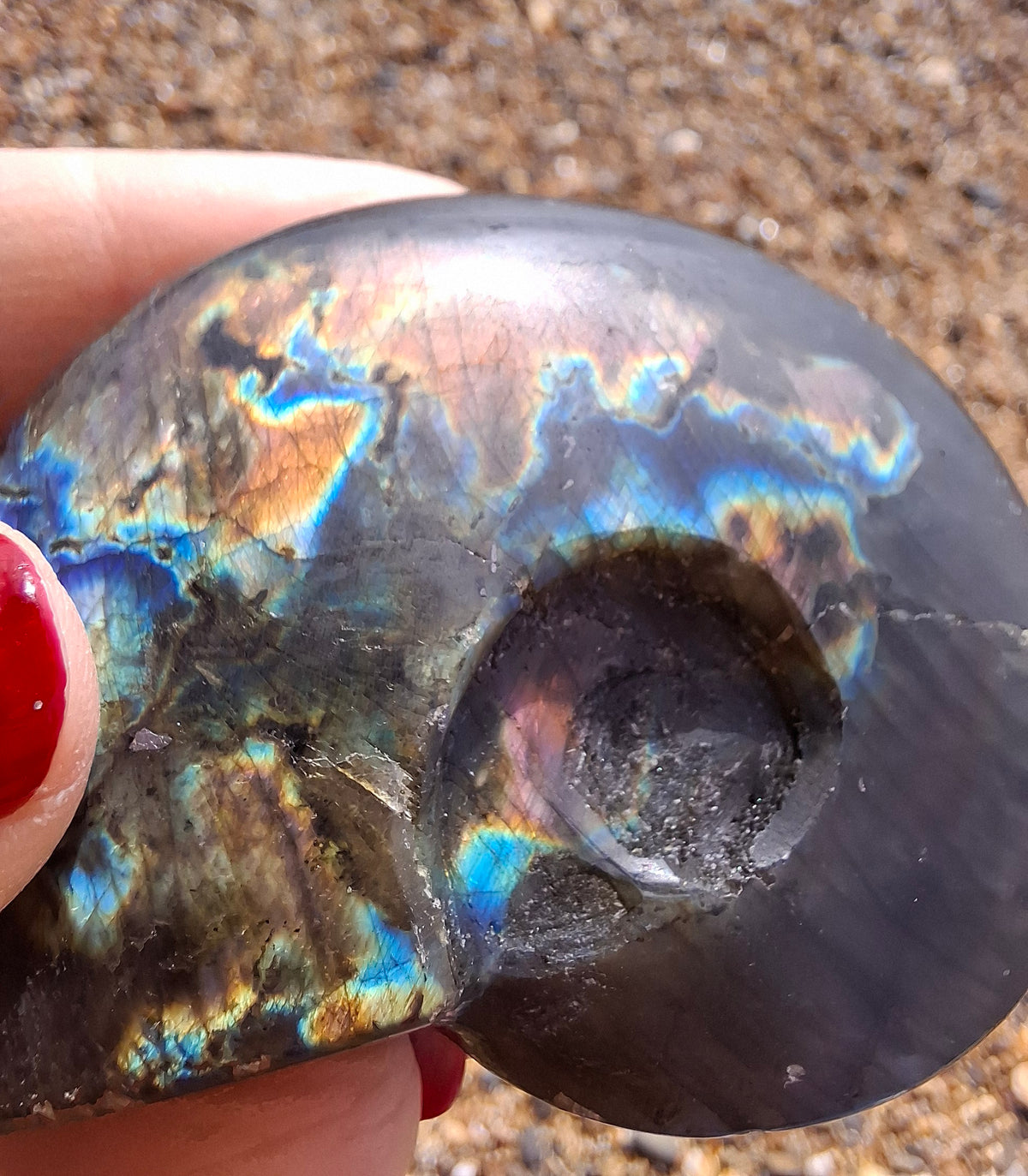 Labradorite Ammonite Carving, 89.31g, Crystal (Ref: laba6)