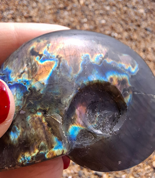 Labradorite Ammonite Carving, 89.31g, Crystal (Ref: laba6)