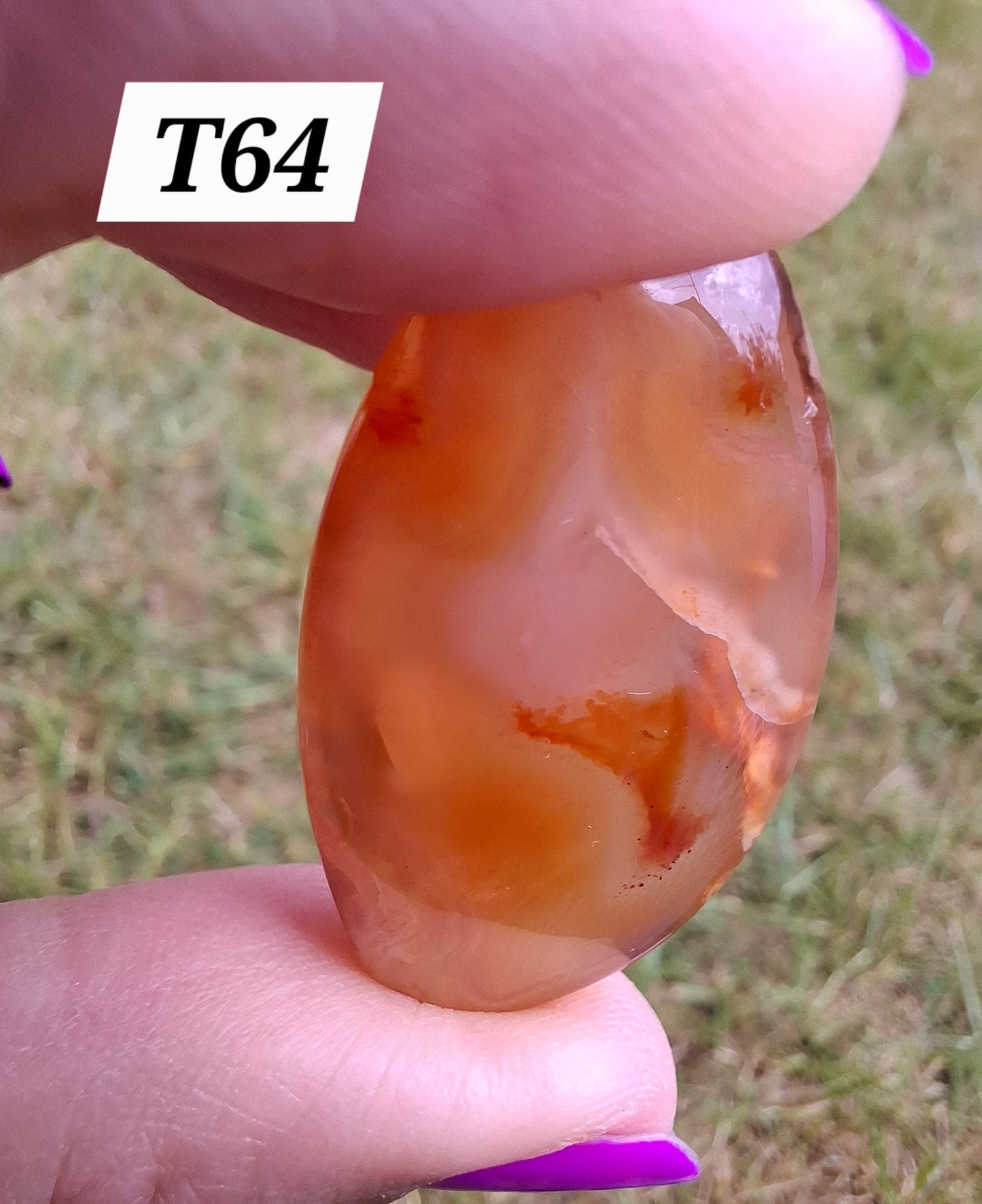 Carnelian, Tumble Stone, Crystal (Ref: T64)