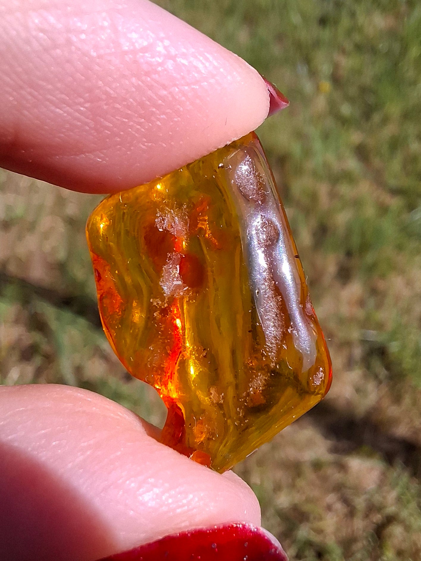 Baltic Amber, 1.40g, Fossil (Ref: A187)