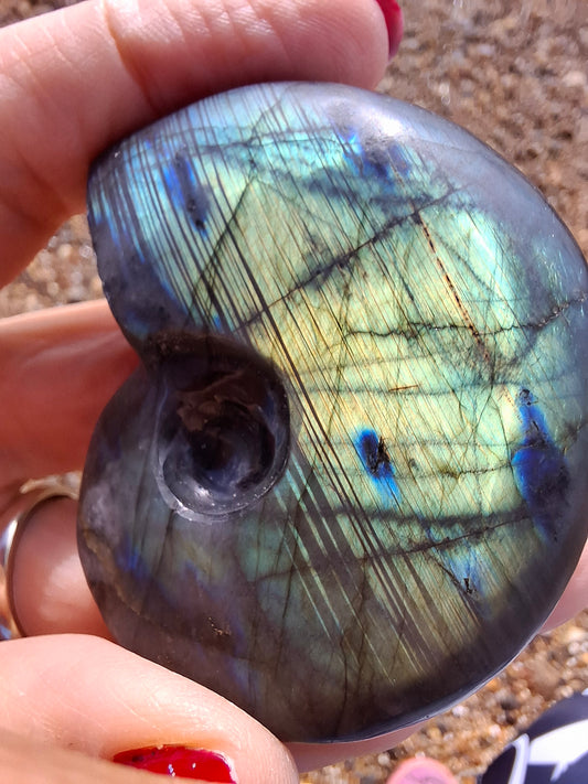 Labradorite Ammonite carving, 96.88g, Crystal (Ref: laba1)