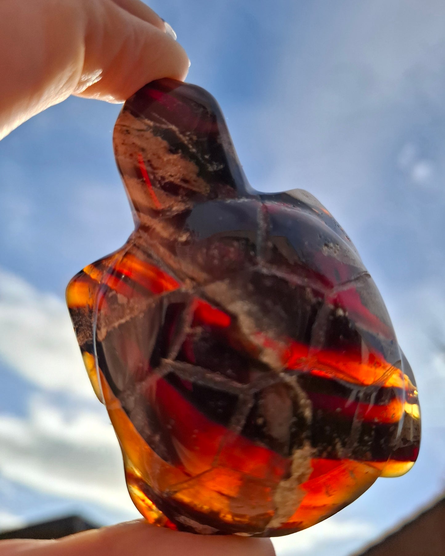 Red Amber Turtle, 50.00g, Carving, Fossil (Ref: TT6)
