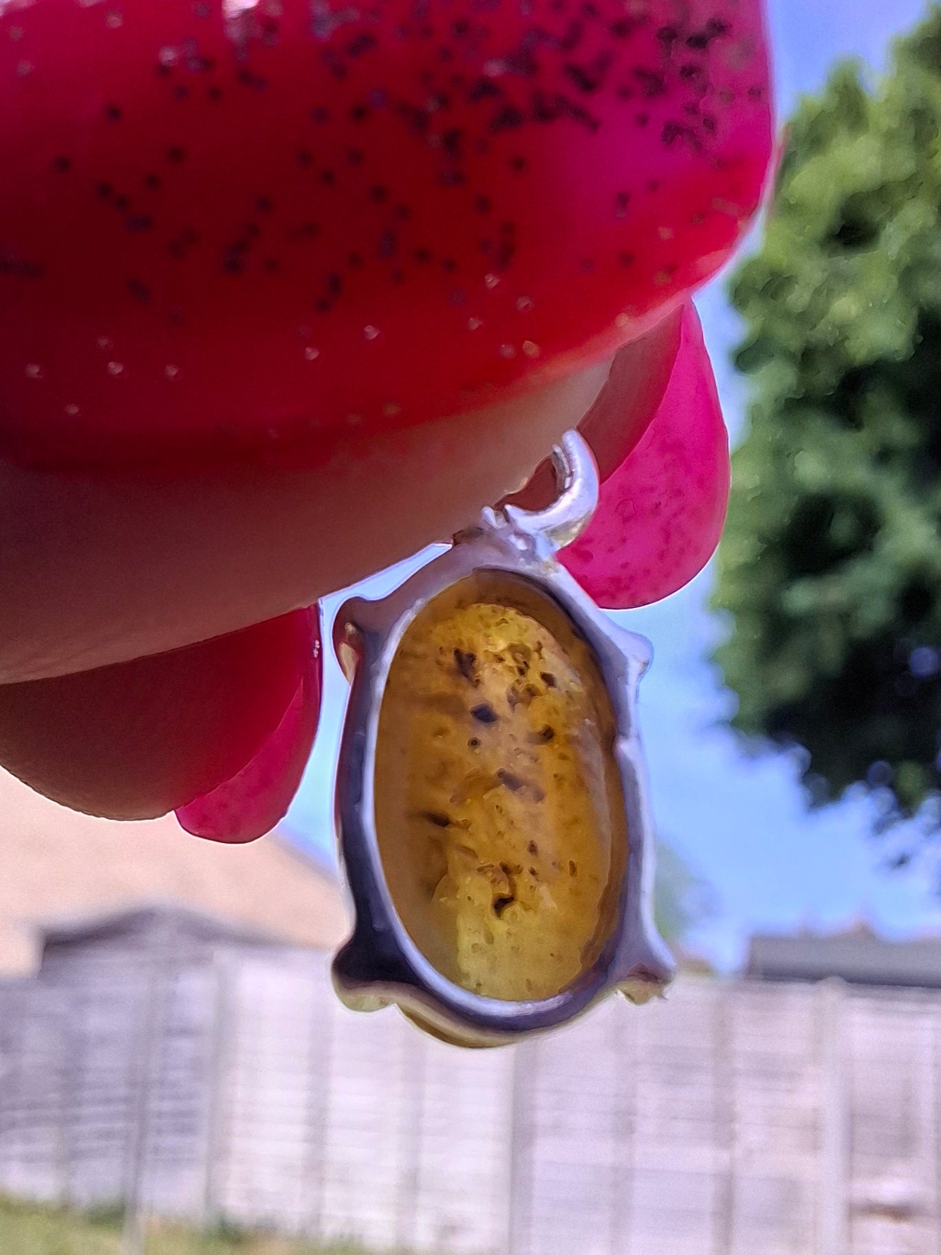 Baltic Amber Pendant, 925 Silver, Fossil (Ref: AP24)
