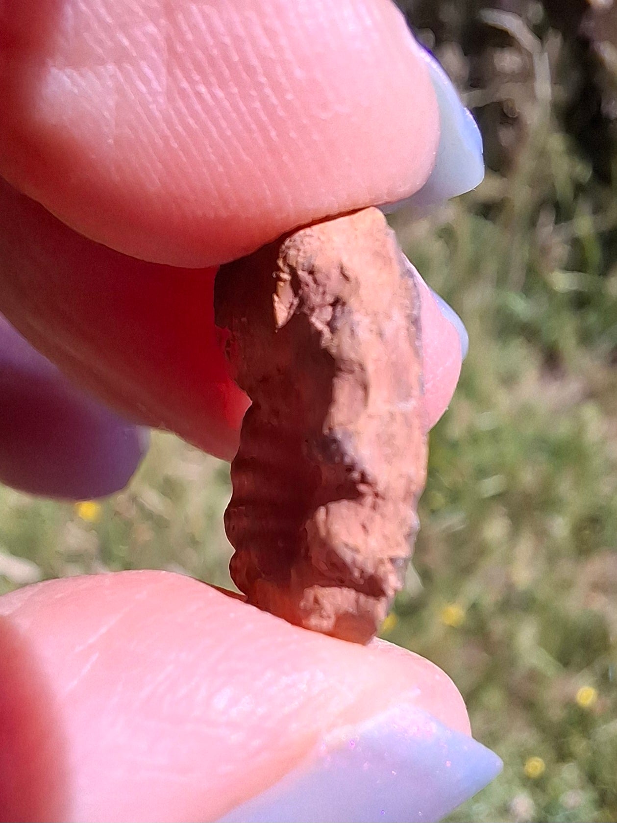 Small Haematite Ammonite HALF, 1.41g, Fossil (Ref: MA6)