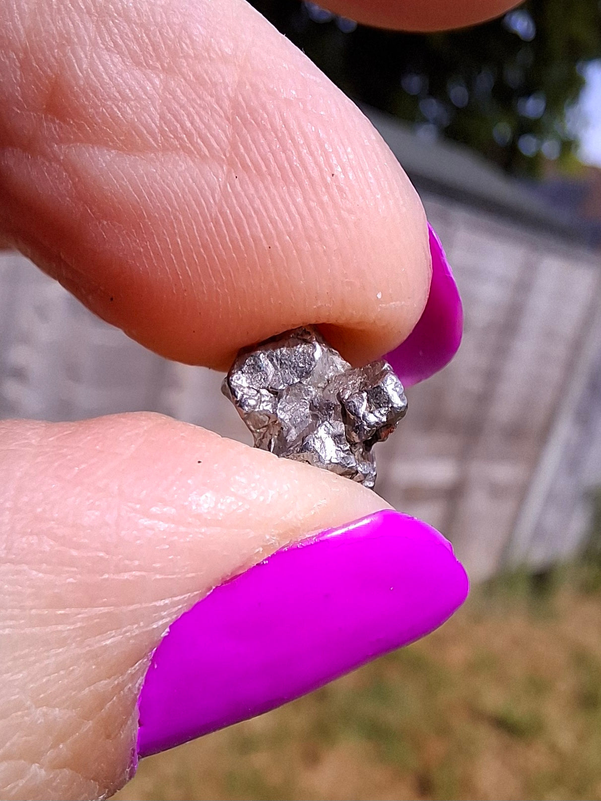 Campo del Cielo, 1.18g, Nickel Iron Meteorite (Ref: C10)