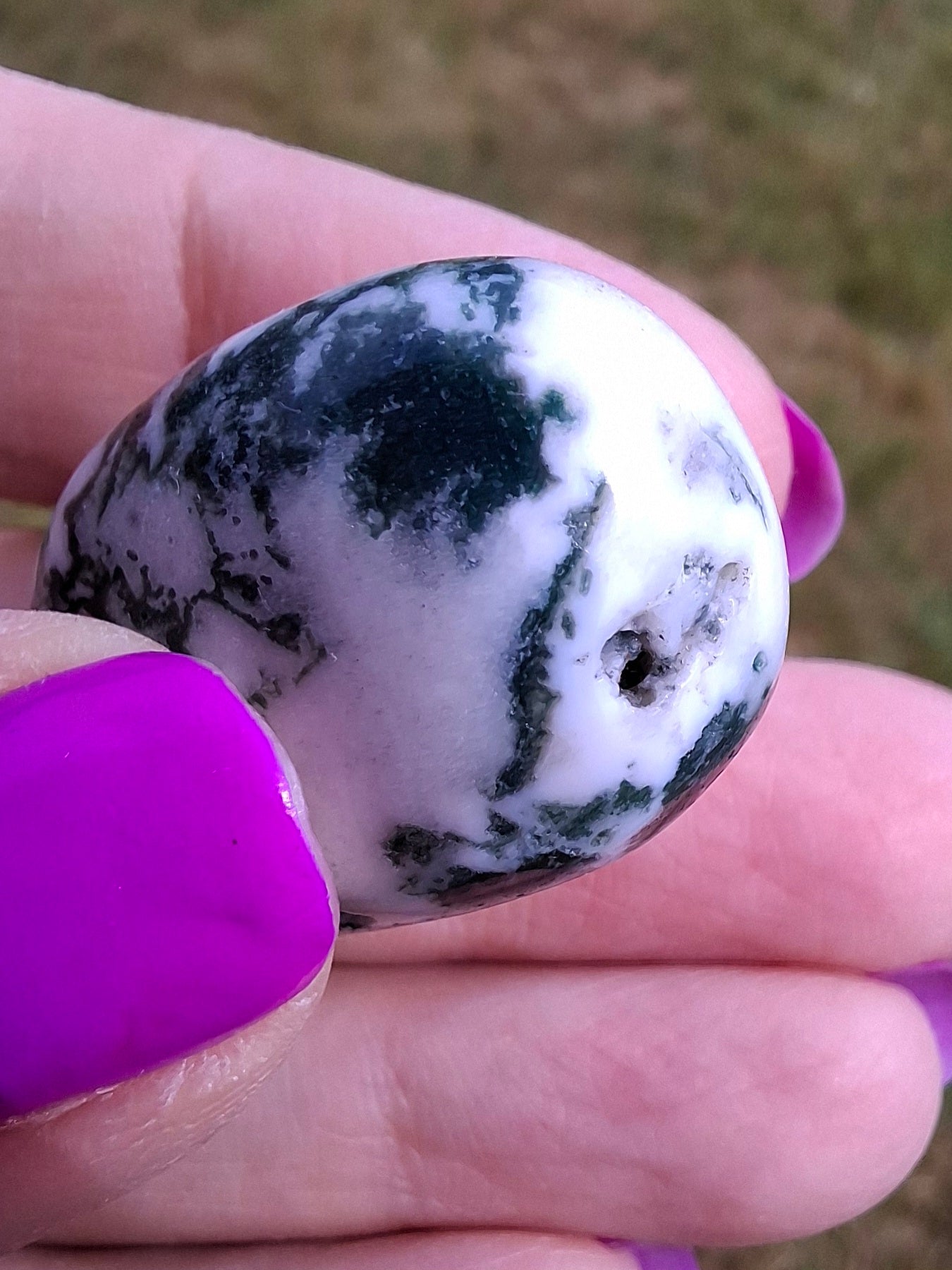 Tree Agate, Tumble Stone, Crystal (Ref: T5)