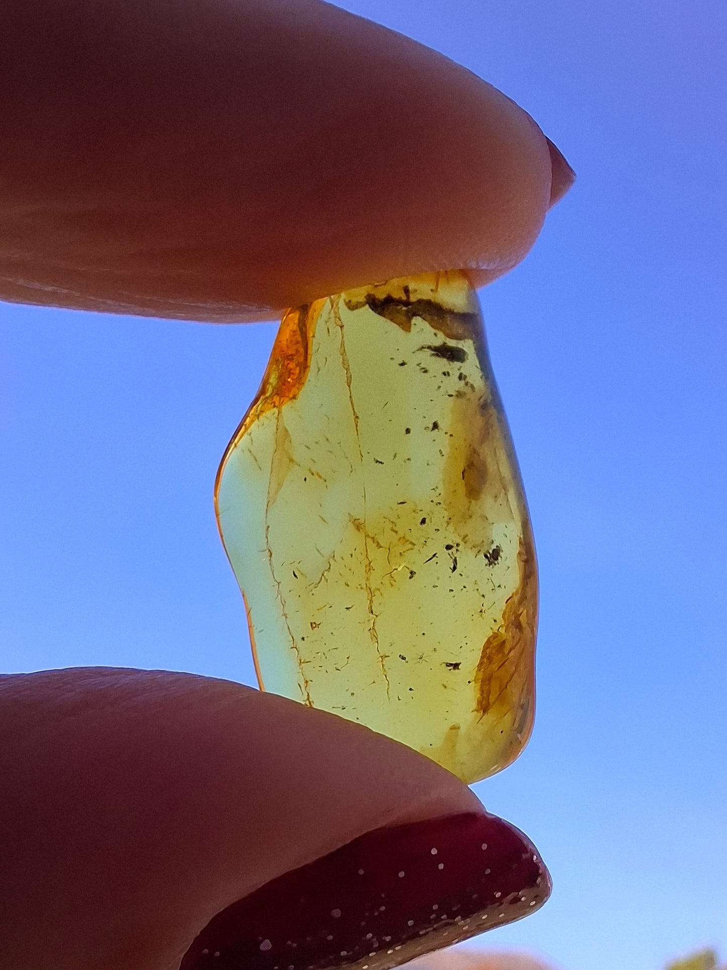 Baltic Amber, 1.23g, Fossil (Ref: A237)
