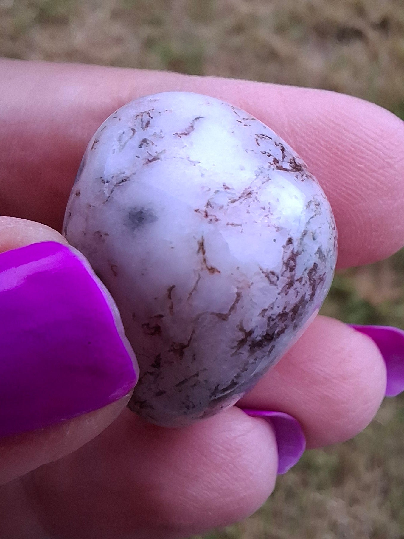 Tree Agate, Tumble Stone, Crystal (Ref: T6)