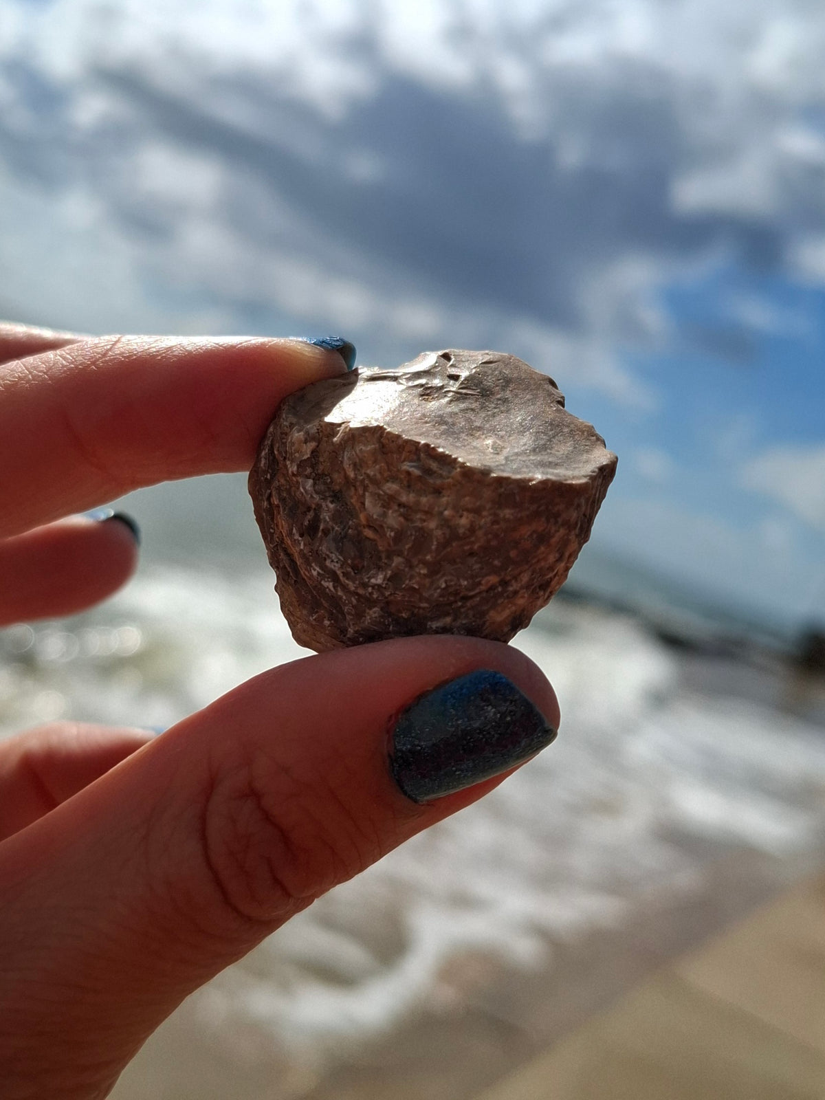 Chalcedony Oyster, Fossil (Ref: FO7)