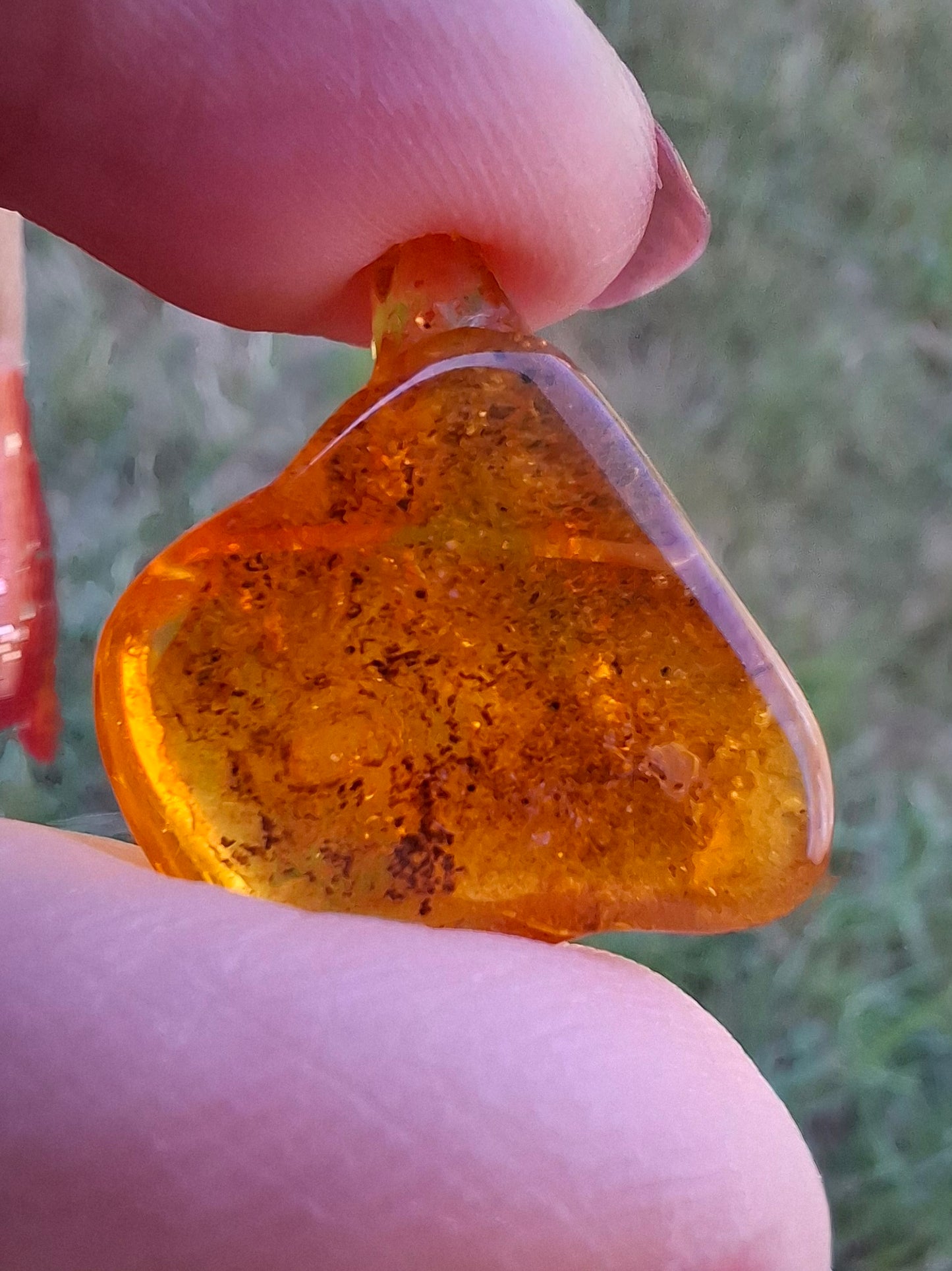 Baltic Amber, 1.58g, Fossil (Ref: A231)