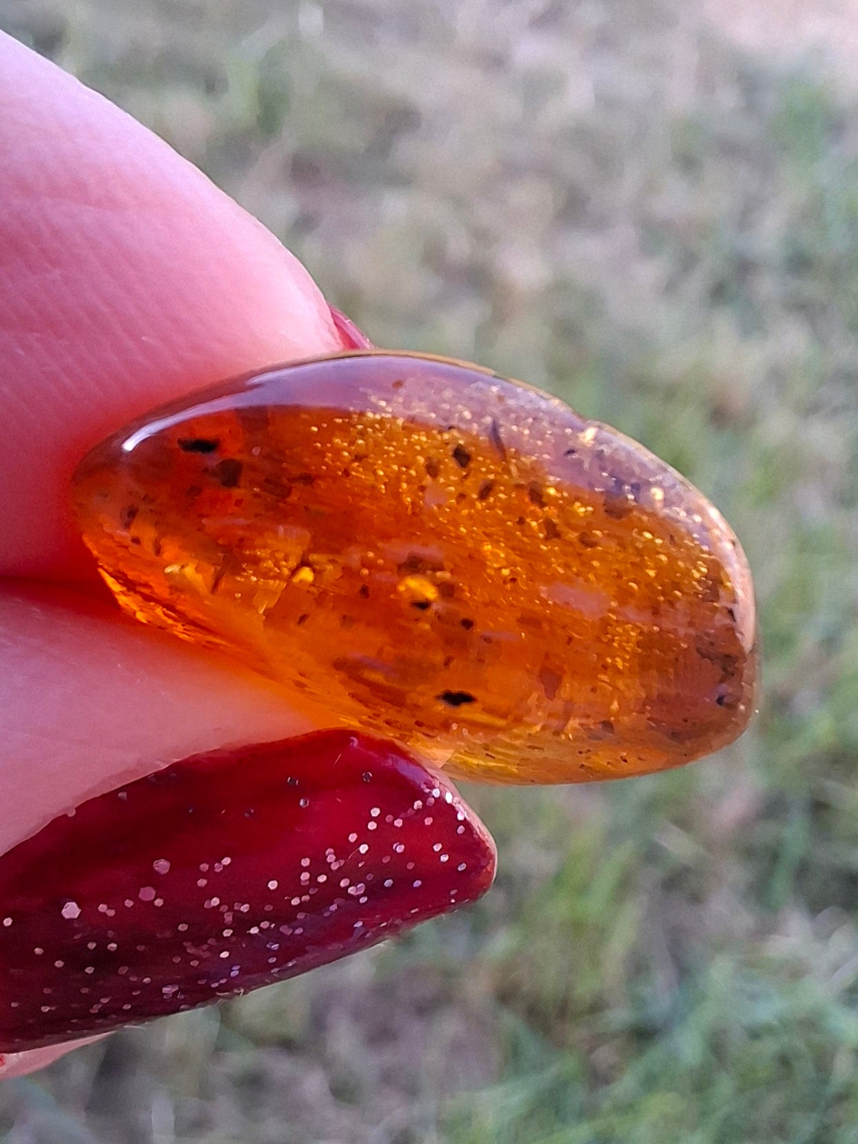 Baltic Amber, 1.59g, Fossil (Ref: A244)