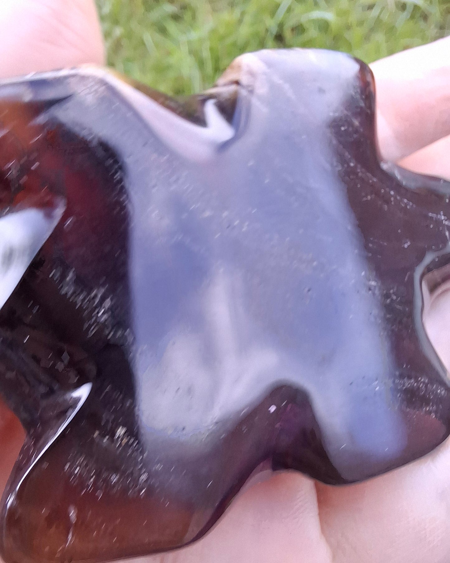 Red Amber Turtle, 47.85g, Carving, Fossil (Ref: TT4)
