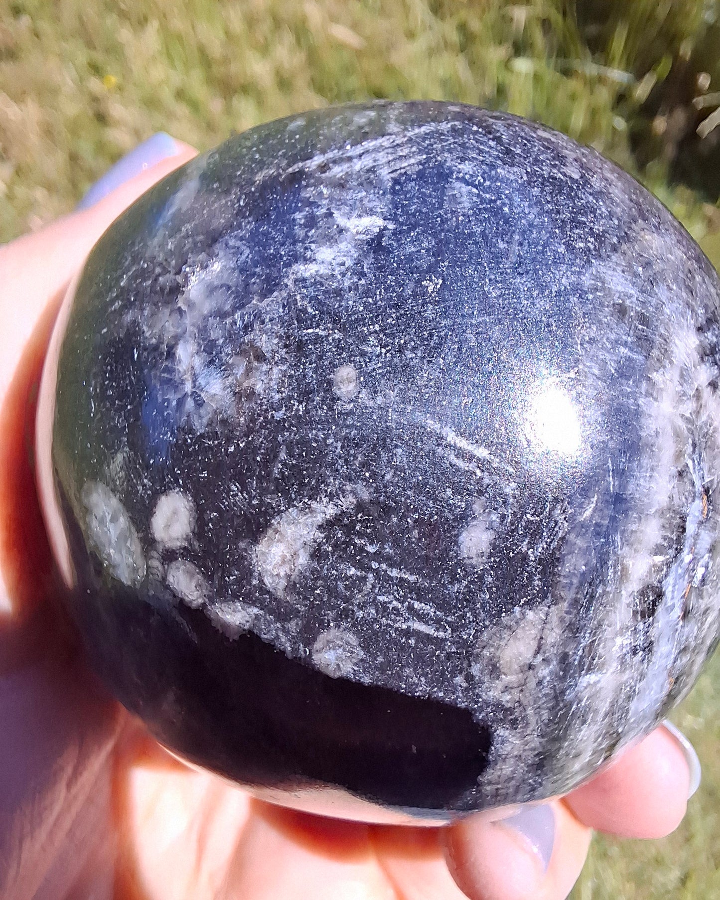 Orthoceras Sphere, Fossil (Ref: OS3)