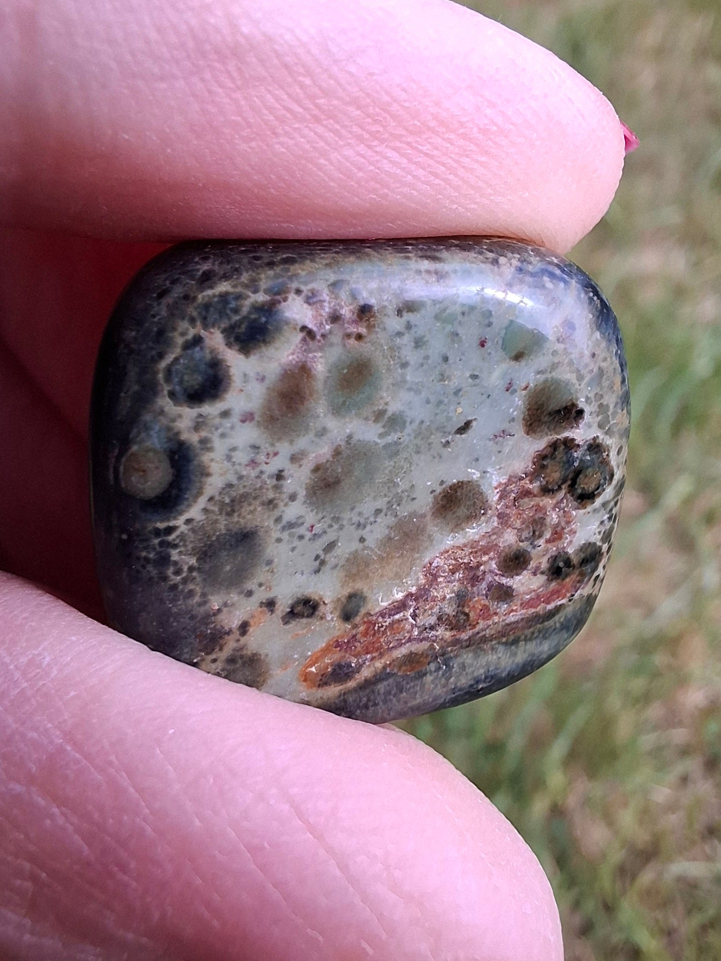 Kambaba Jasper, Tumble Stone, Crystal (Ref: T162)