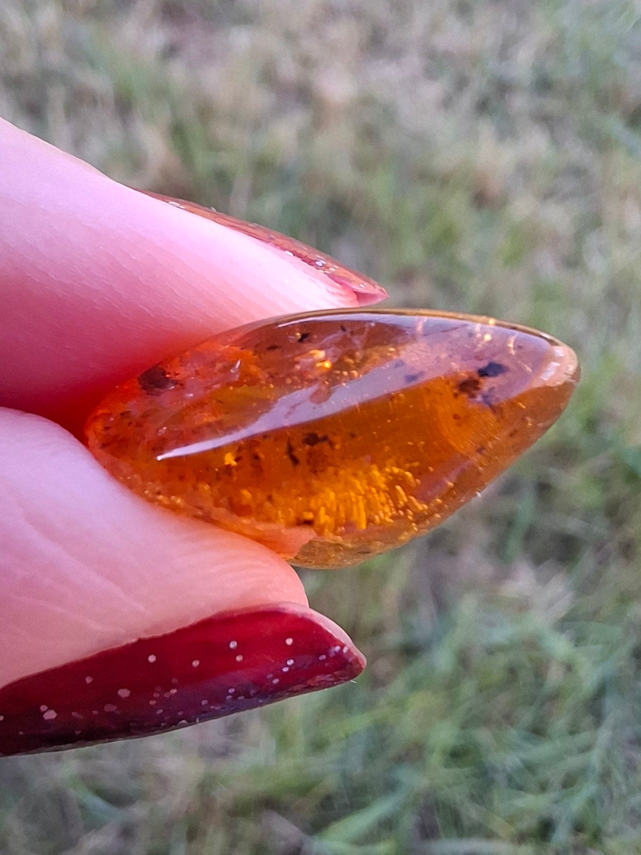 Baltic Amber, 1.59g, Fossil (Ref: A244)