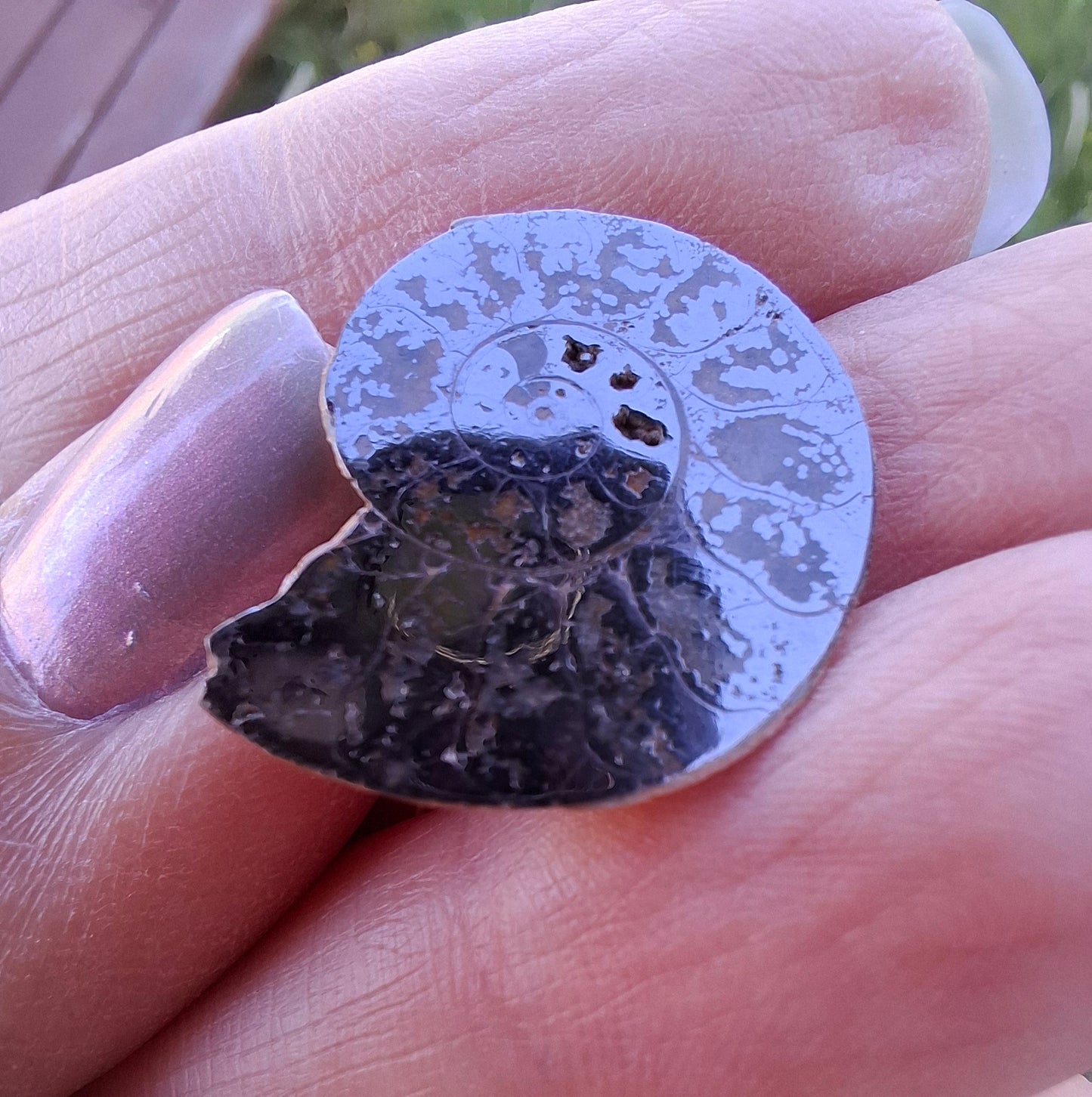 Small Haematite Ammonite HALF, 2.19g, Fossil (Ref: MA3)