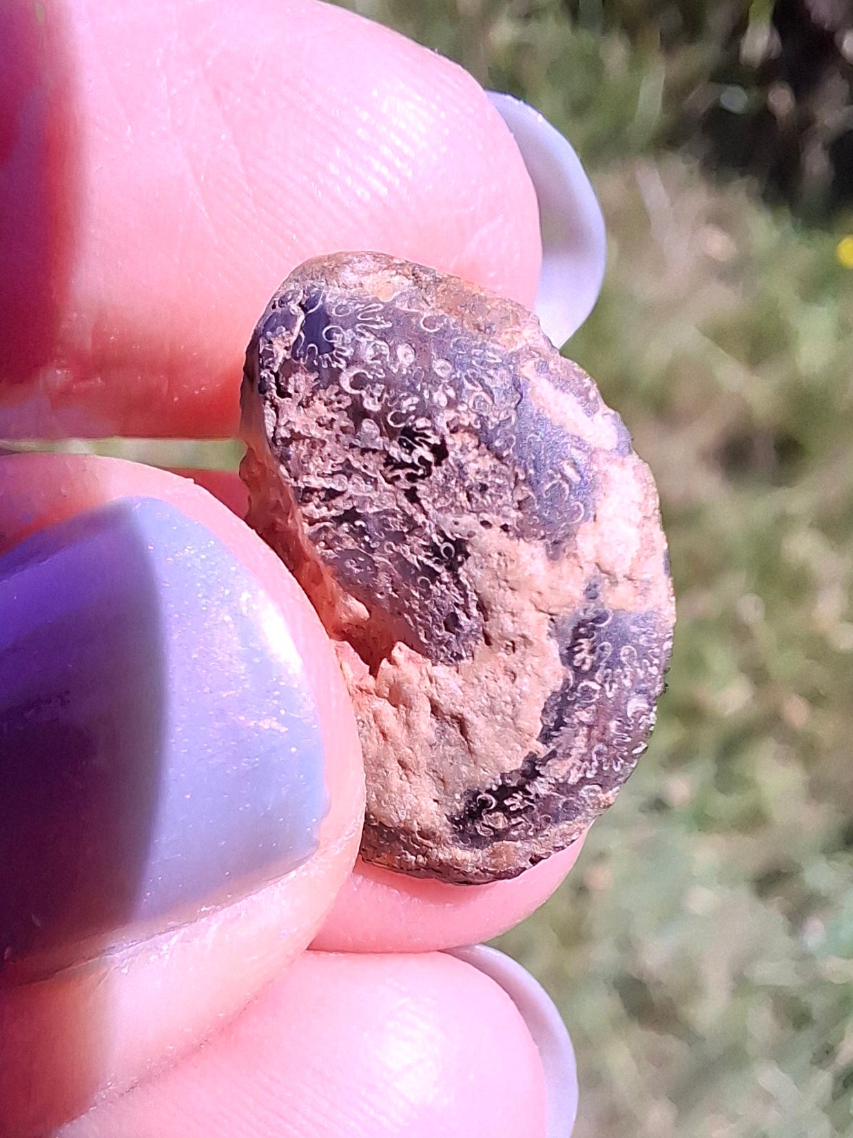 Small Haematite Ammonite HALF, 1.36g, Fossil (Ref: MA12)