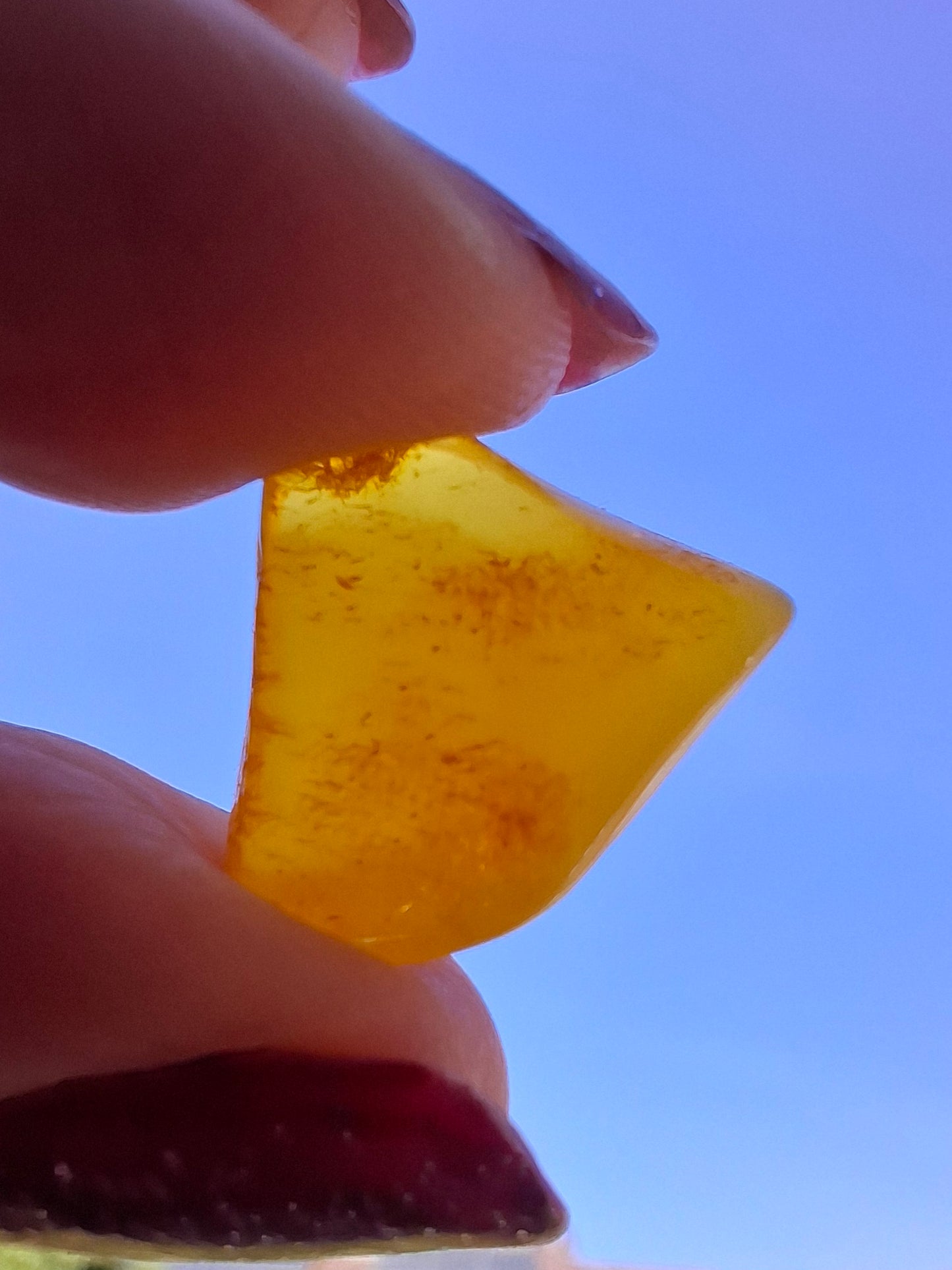 Baltic Amber, 1.00g, Fossil (Ref: A250)