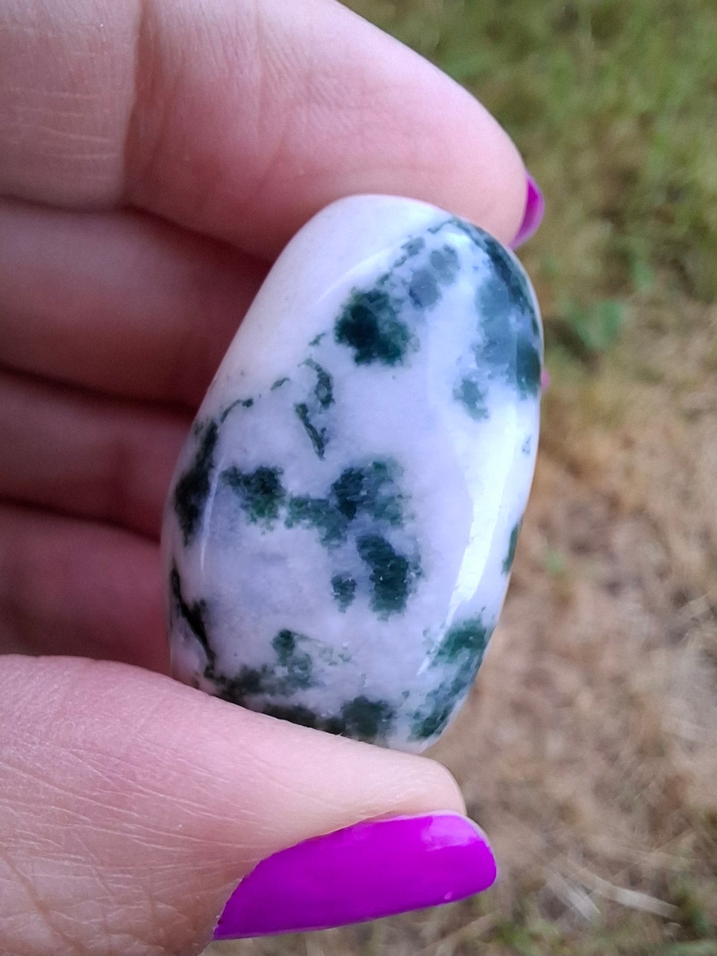 Tree Agate, Tumble Stone, Crystal (Ref: T1)