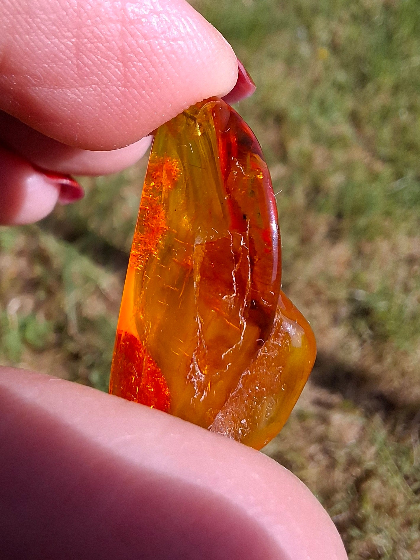 Baltic Amber, 1.48g, Fossil (Ref: A221)