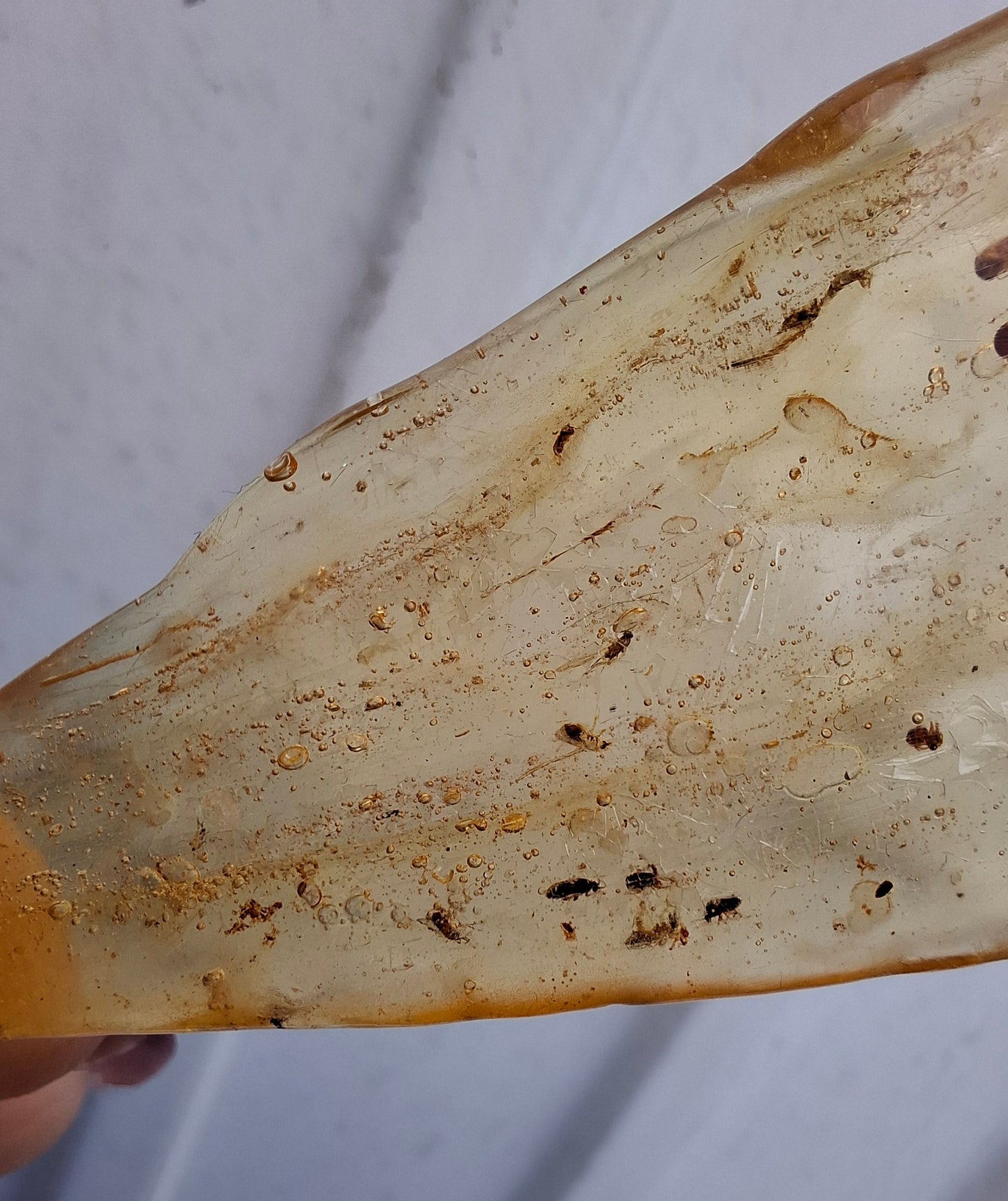 Copal Young Amber with INSECTS inside, 28.43g, Fossil (Ref: CA10)