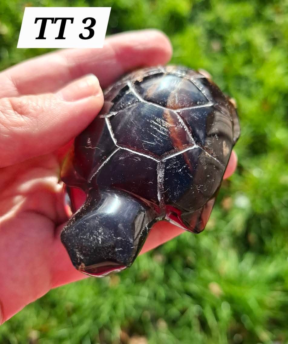 Red Amber Turtle, 52.00g, Carving, Fossil (Ref: TT3)