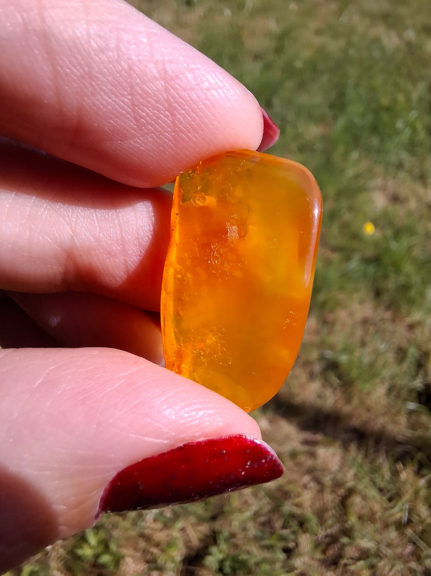Baltic Amber, 1.55g, Fossil (Ref: A219)