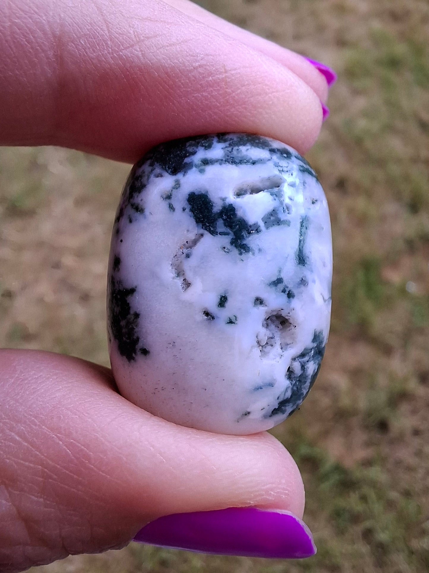Tree Agate, Tumble Stone, Crystal (Ref: T5)
