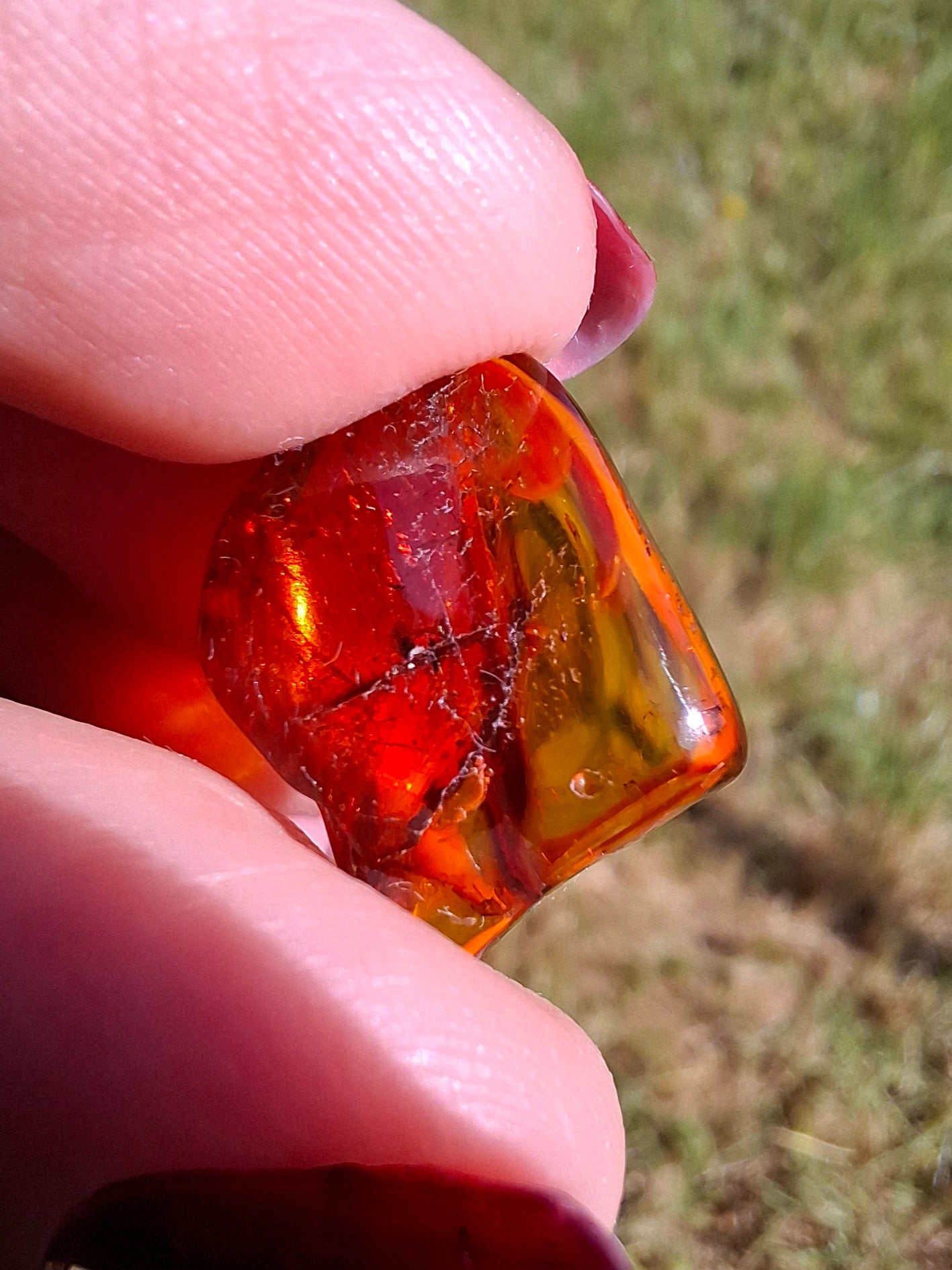 Baltic Amber, 0.94g, Fossil (Ref: A256)