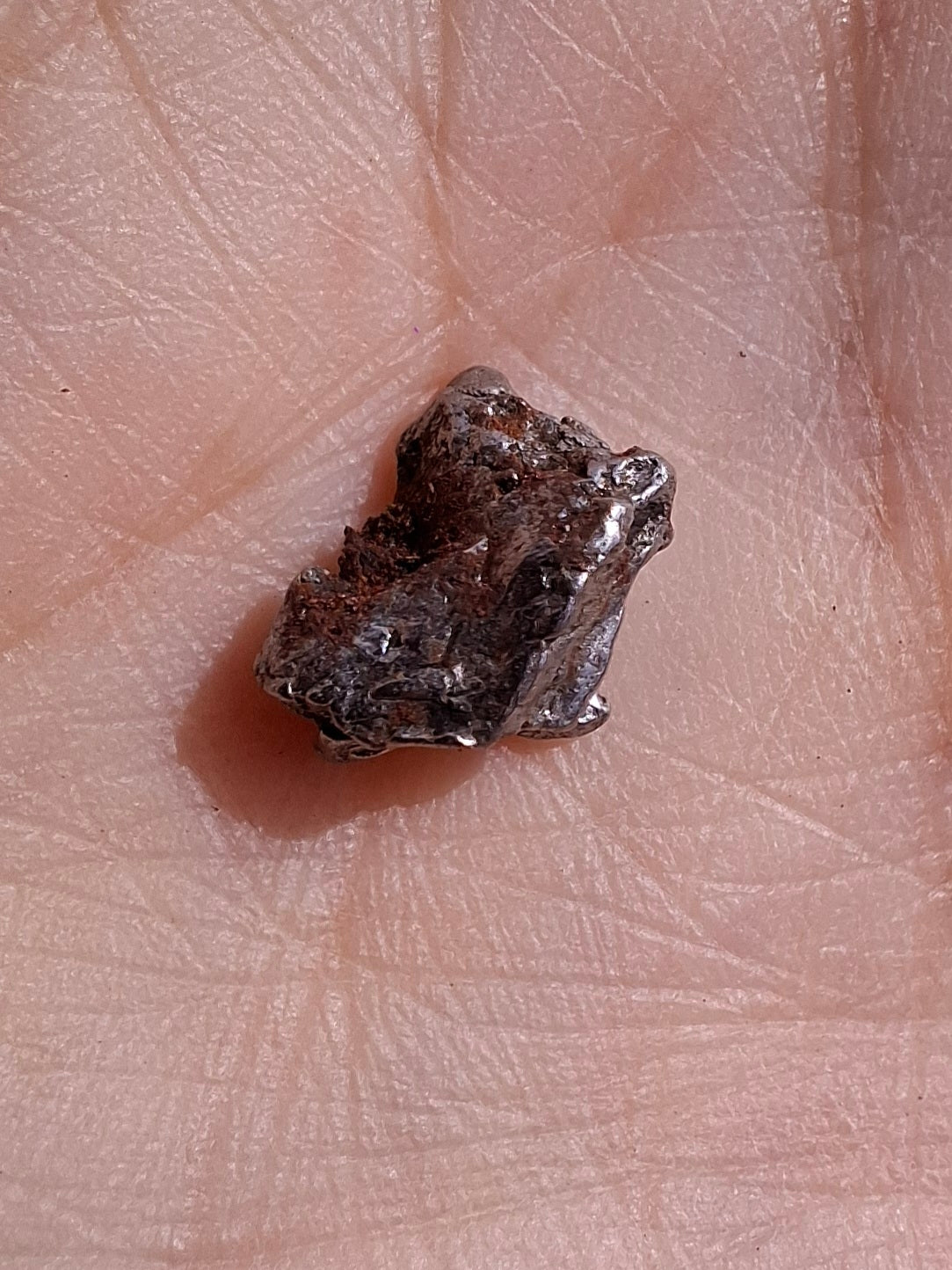 Campo del Cielo, 1.20g, Nickel Iron Meteorite (Ref: C12)