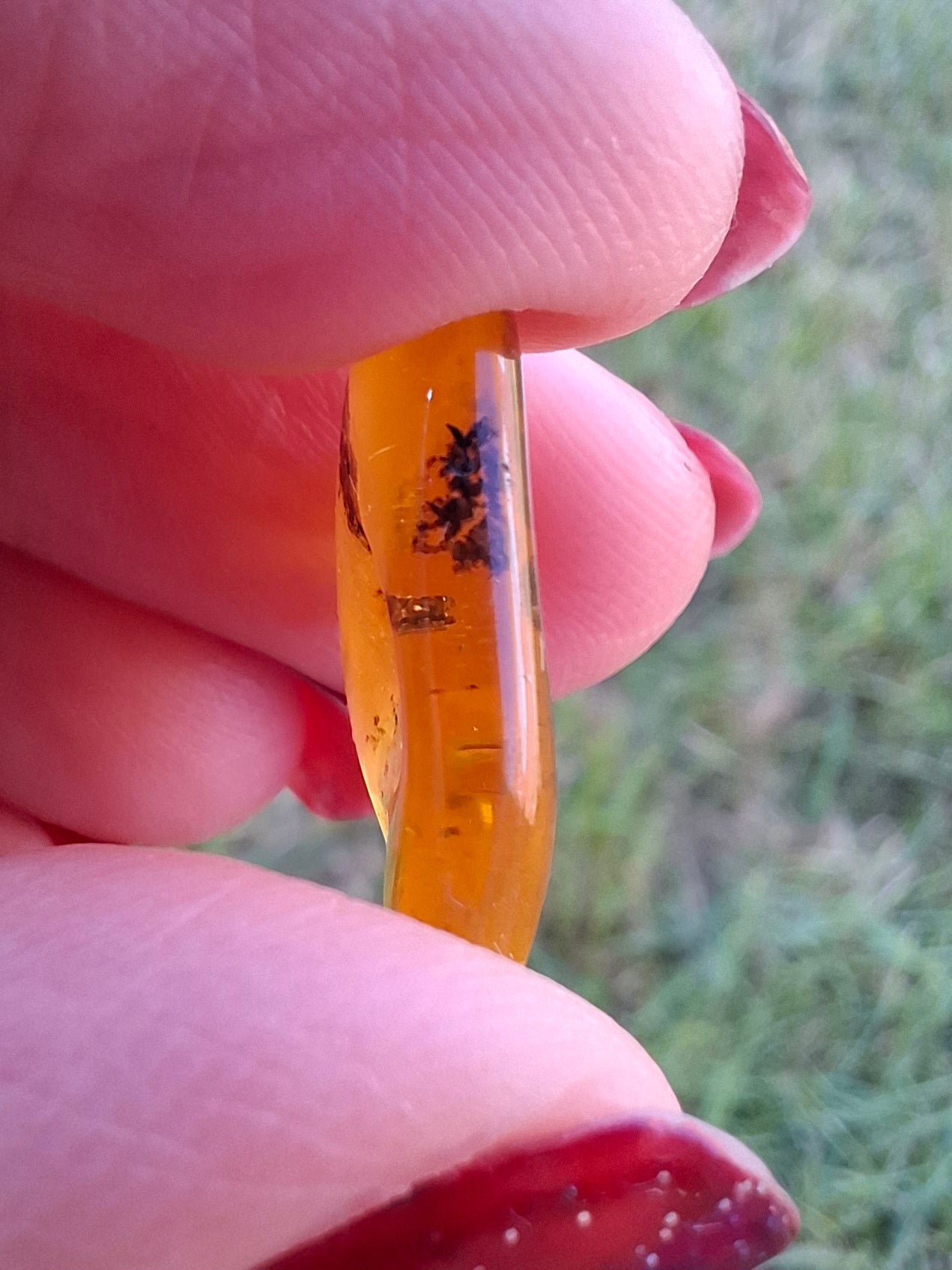 Baltic Amber, 0.91g, Fossil (Ref: A240)