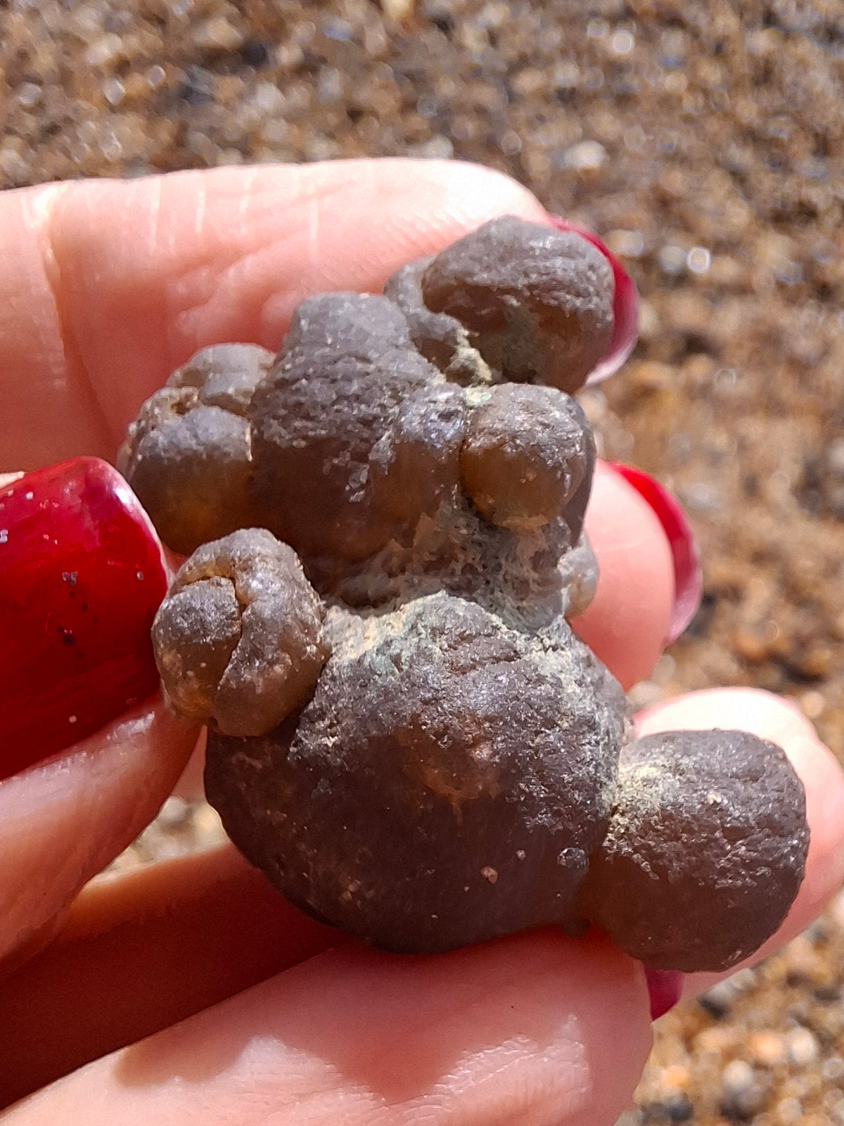 Nebula Chalcedony, 13.55g, Fossil (Ref: NC8)