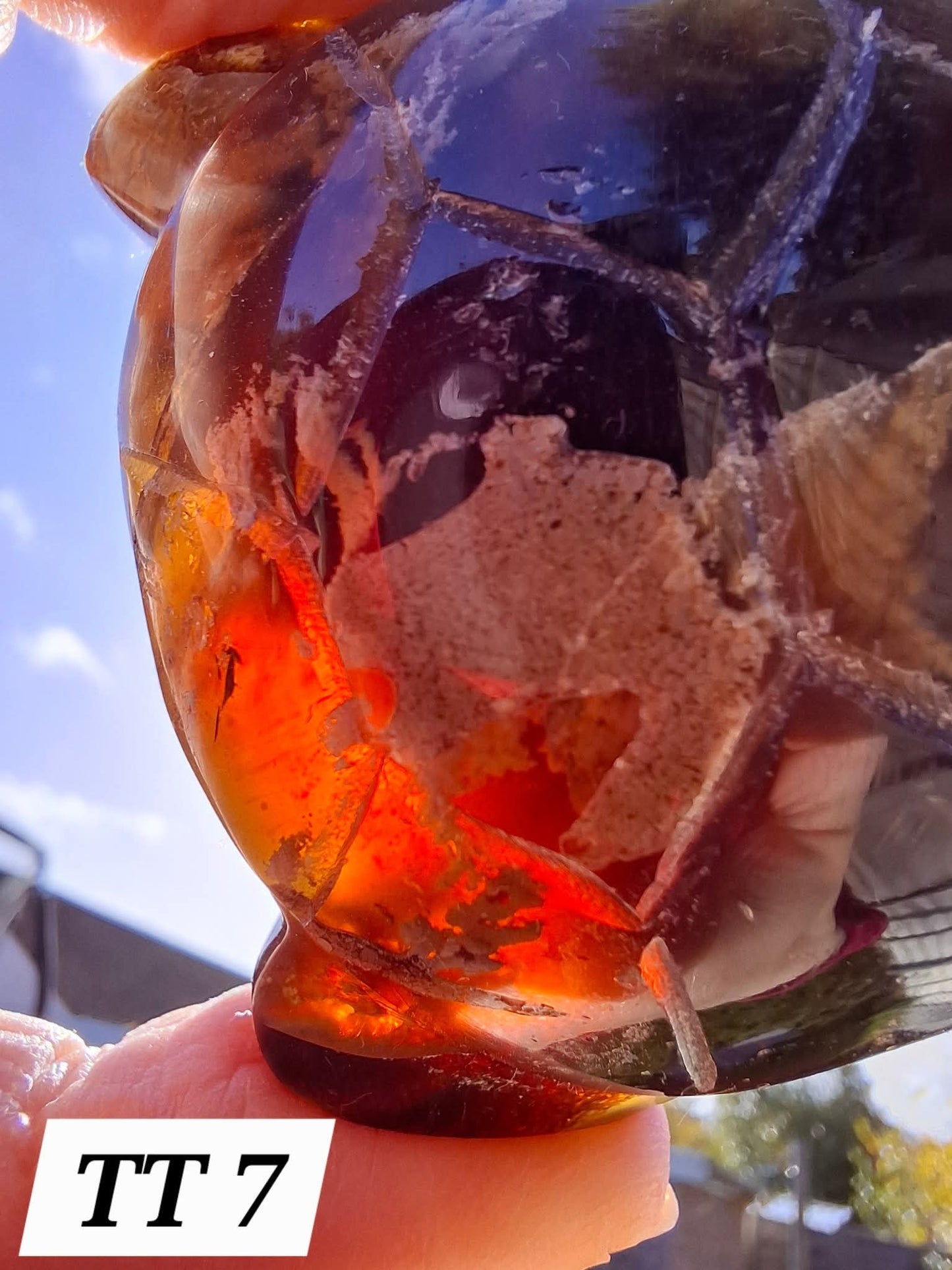 Red Amber Turtle, 56.87g, Carving, Fossil (Ref:TT7)