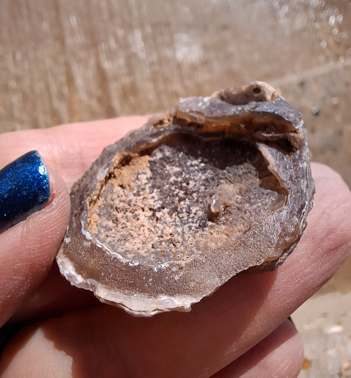 Chalcedony Oyster, Fossil (Ref: FO4)