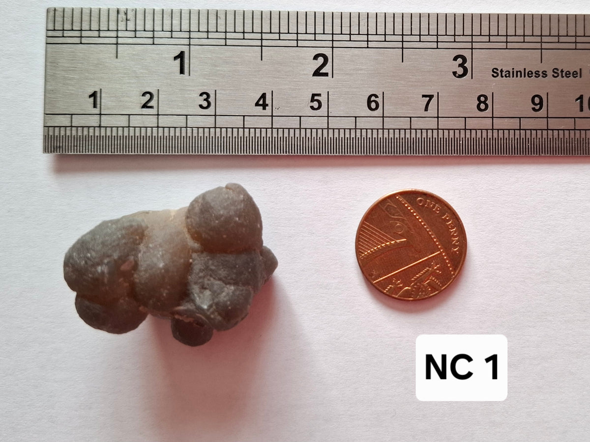 Nebula Chalcedony, 16.91g, Fossil (Ref: NC1)