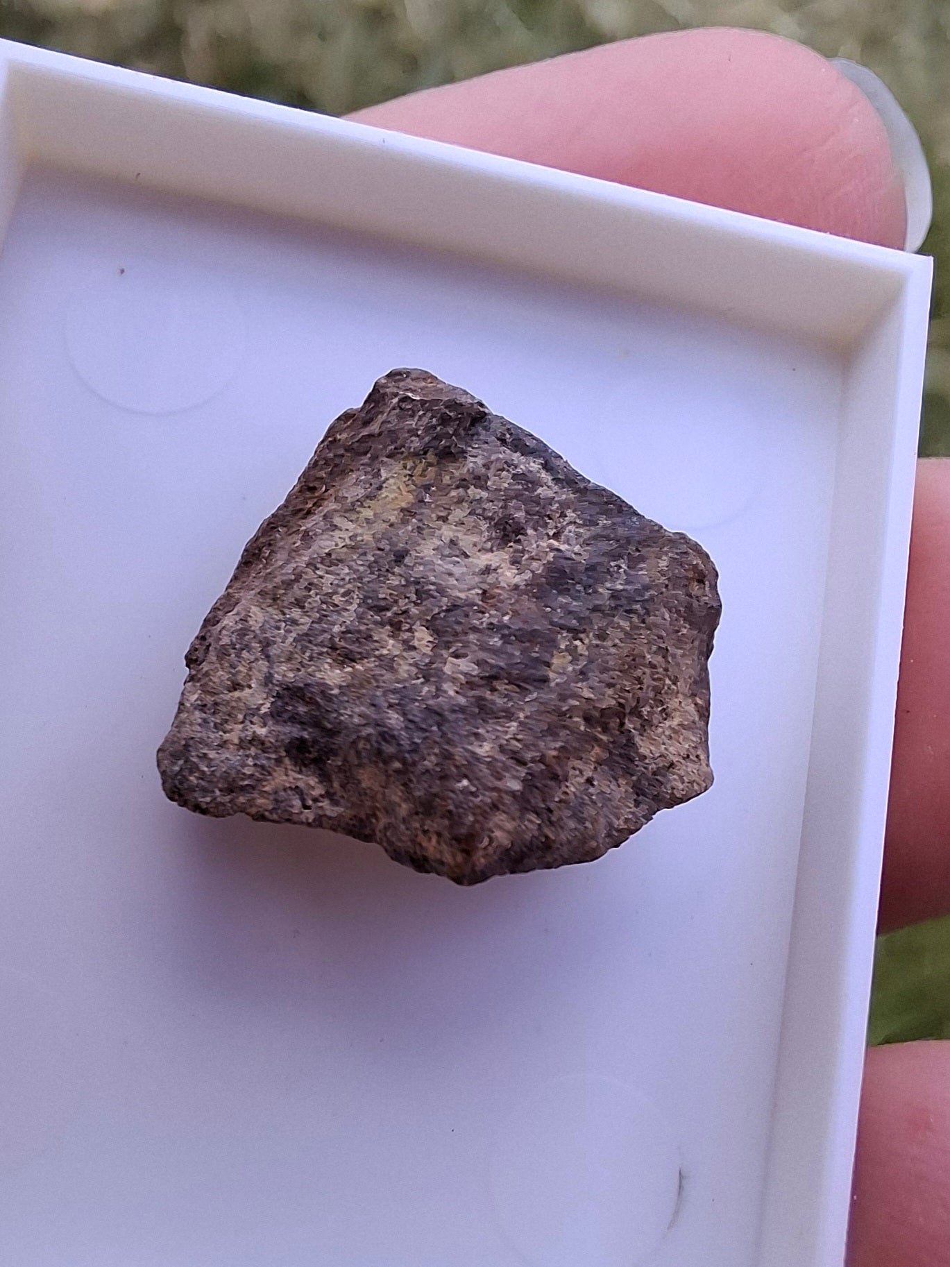 Chondrite, Meteorite (Ref: CM6)