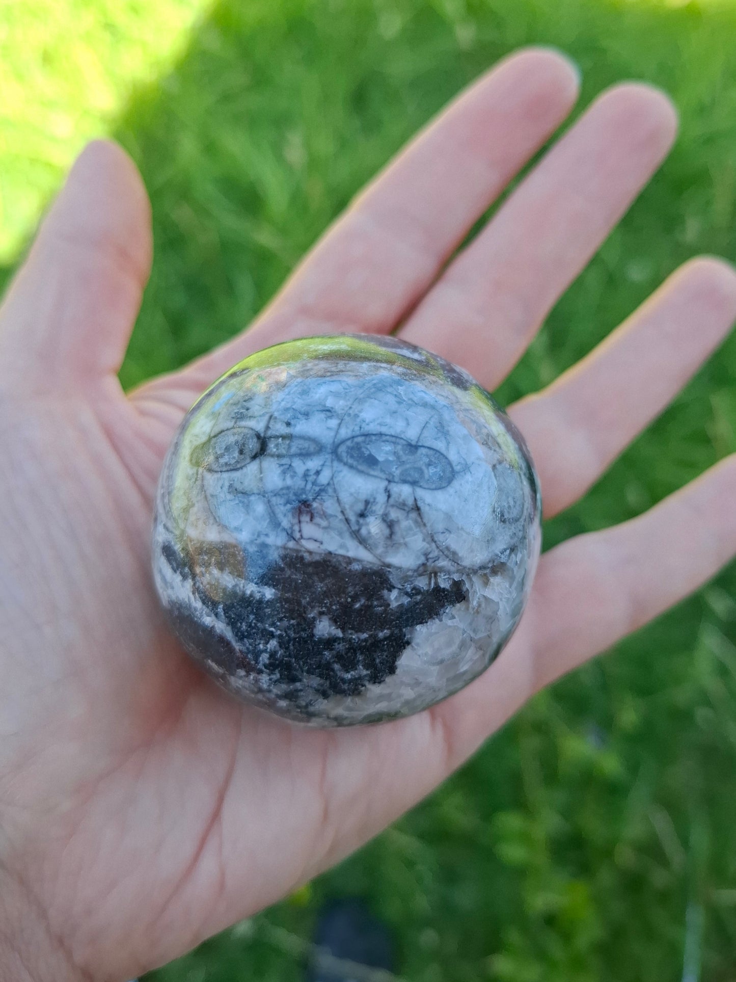 Orthoceras Sphere, Fossil (Ref: OS2)