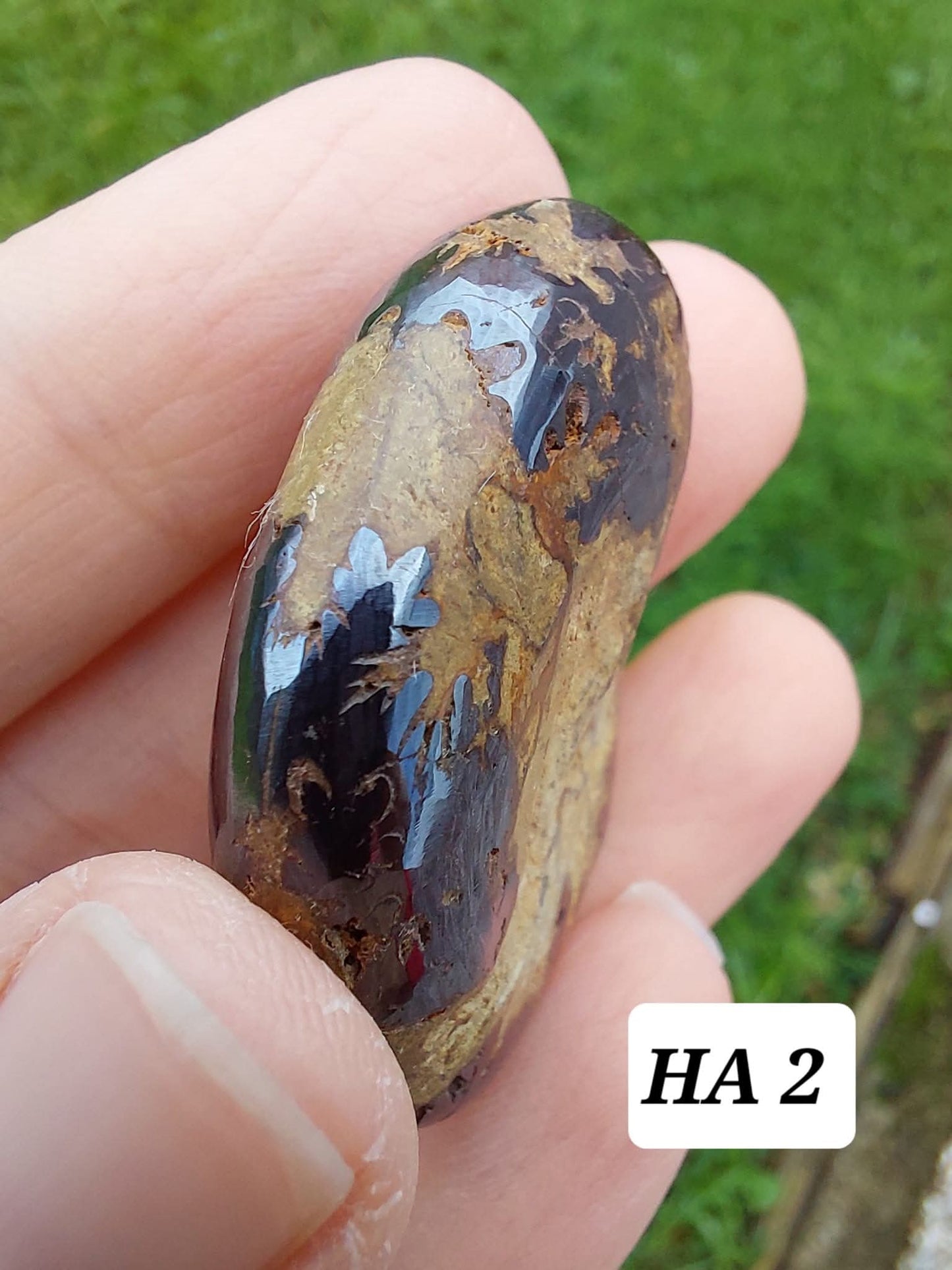 Hematite Ammonite, 22.72g, Fossil (Ref: HA2)