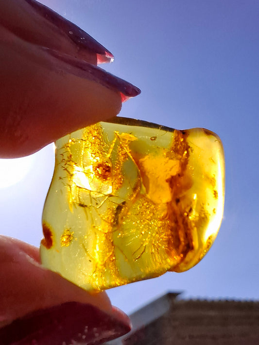 Baltic Amber, 1.51g, Fossil (Ref: A236)