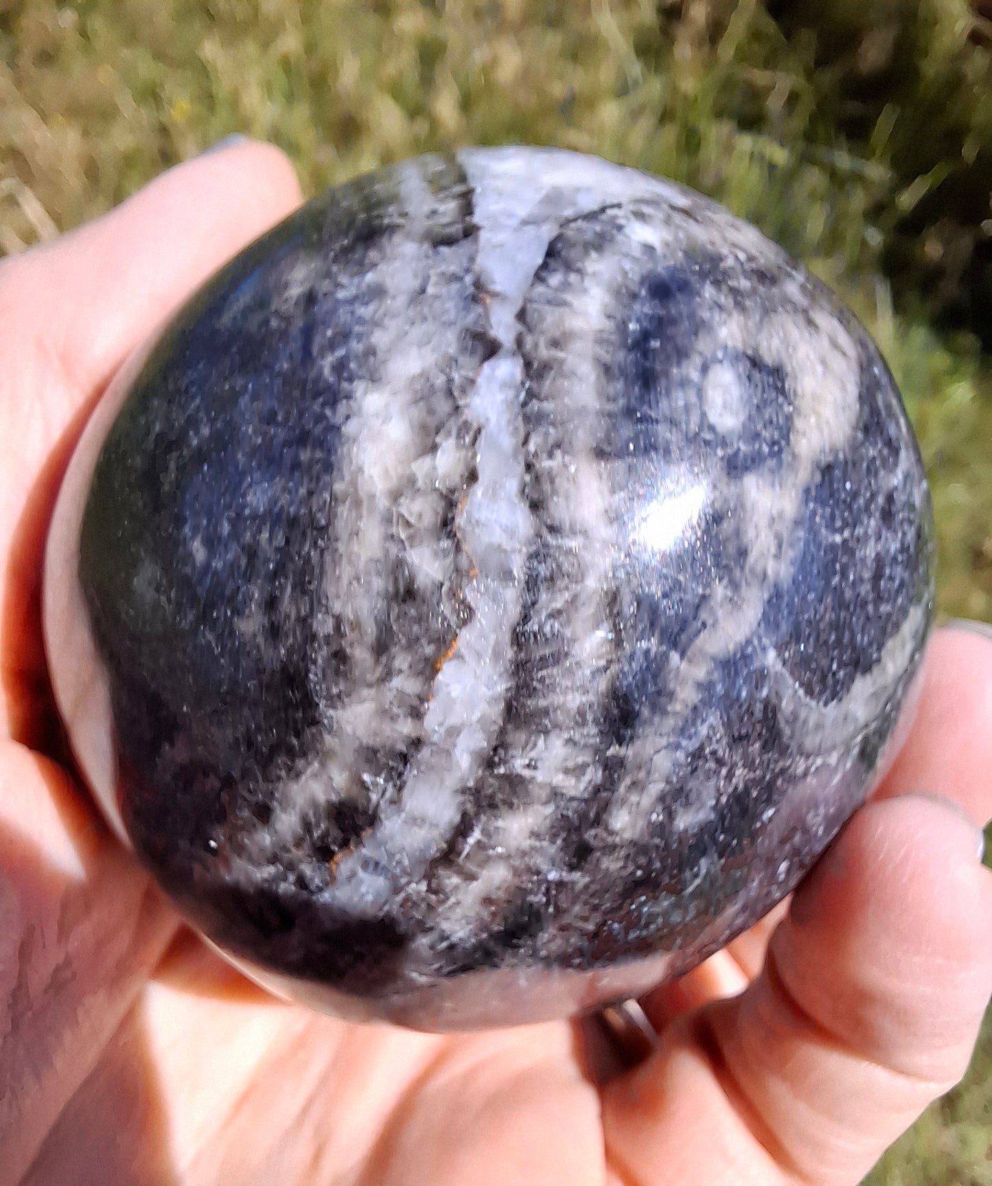 Orthoceras Sphere, Fossil (Ref: OS3)