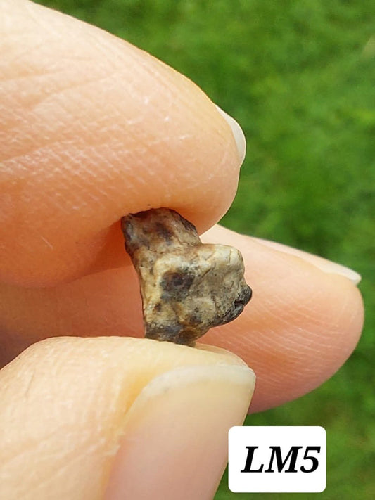 Lunar Meteorite, 0.32g, 'Moon Rock' (Ref: LM5)