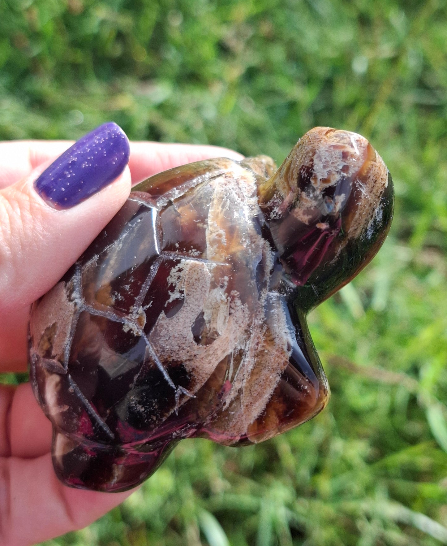 Red Amber Turtle, 56.87g, Carving, Fossil (Ref:TT7)