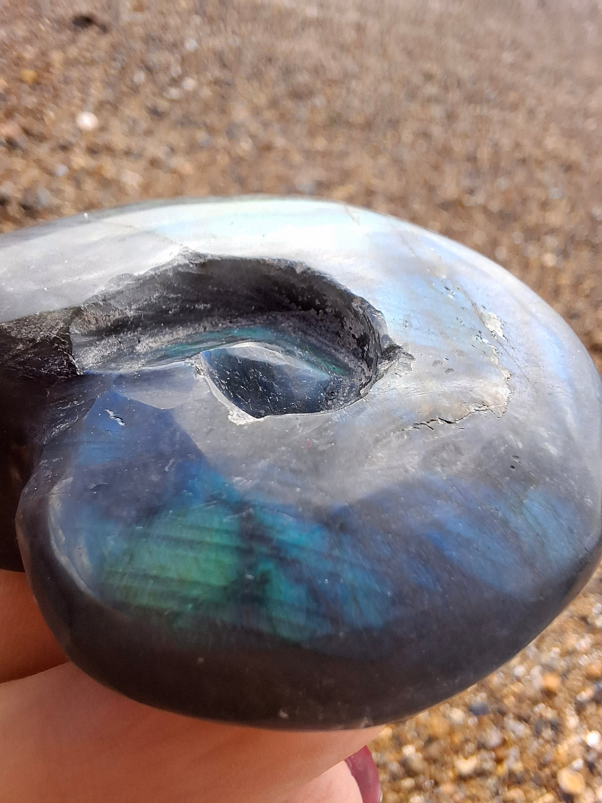 Labradorite Ammonite Carving, 111.66g, Crystal (Ref: laba3)