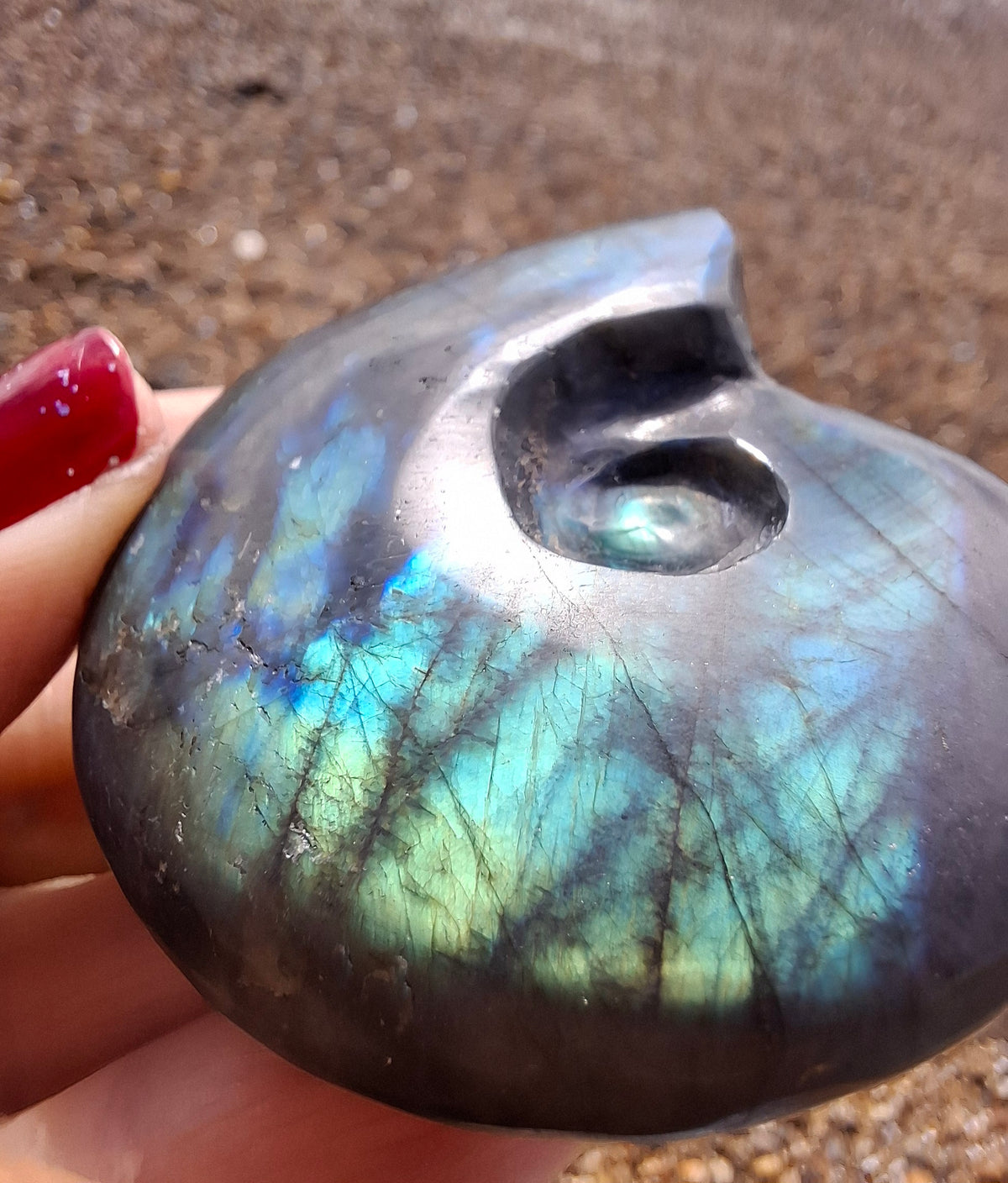 Labradorite Ammonite carving, 96.88g, Crystal (Ref: laba1)