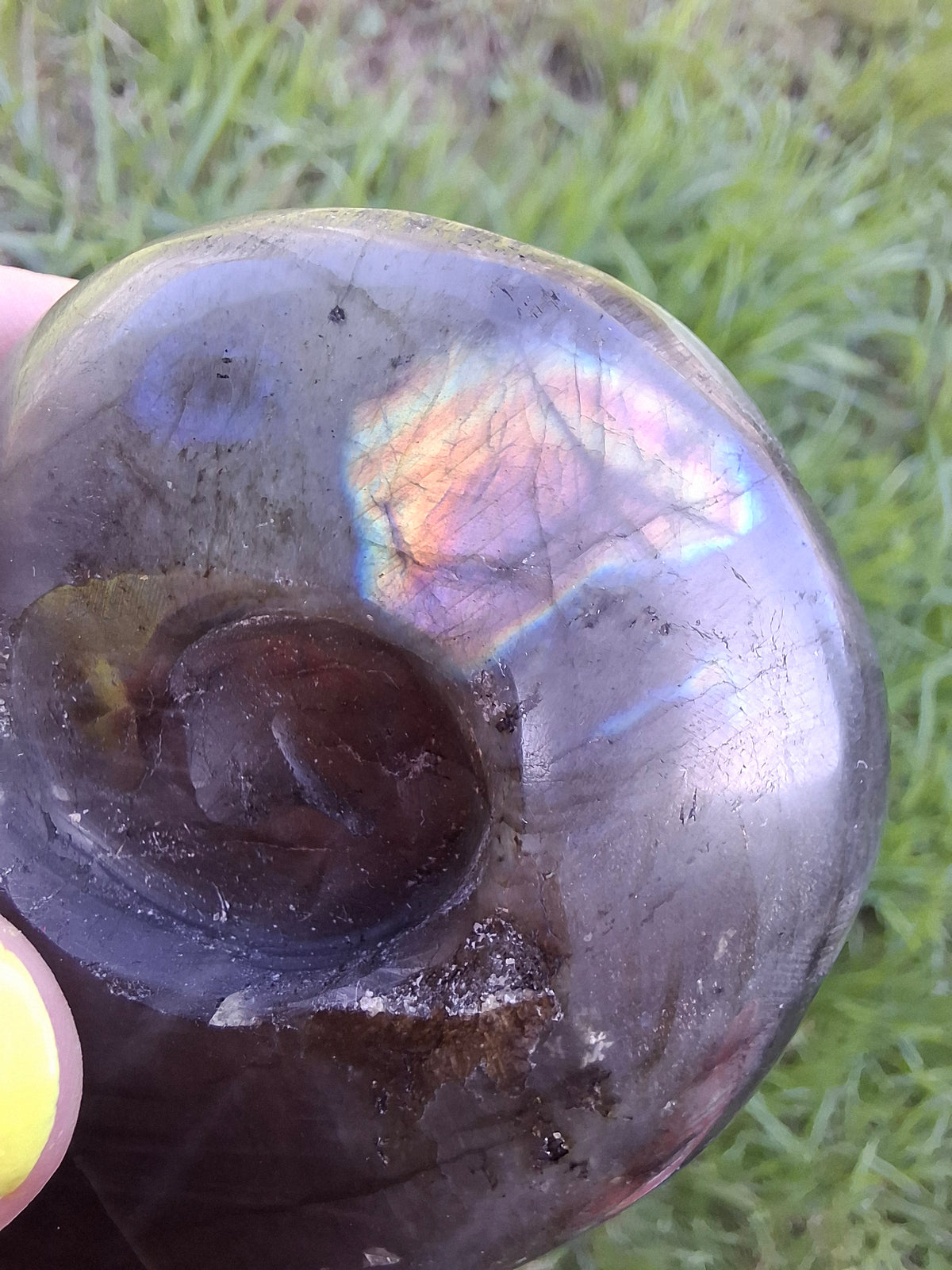 Labradorite Ammonite Carving, 146.90g, Crystal (Ref: laba5)