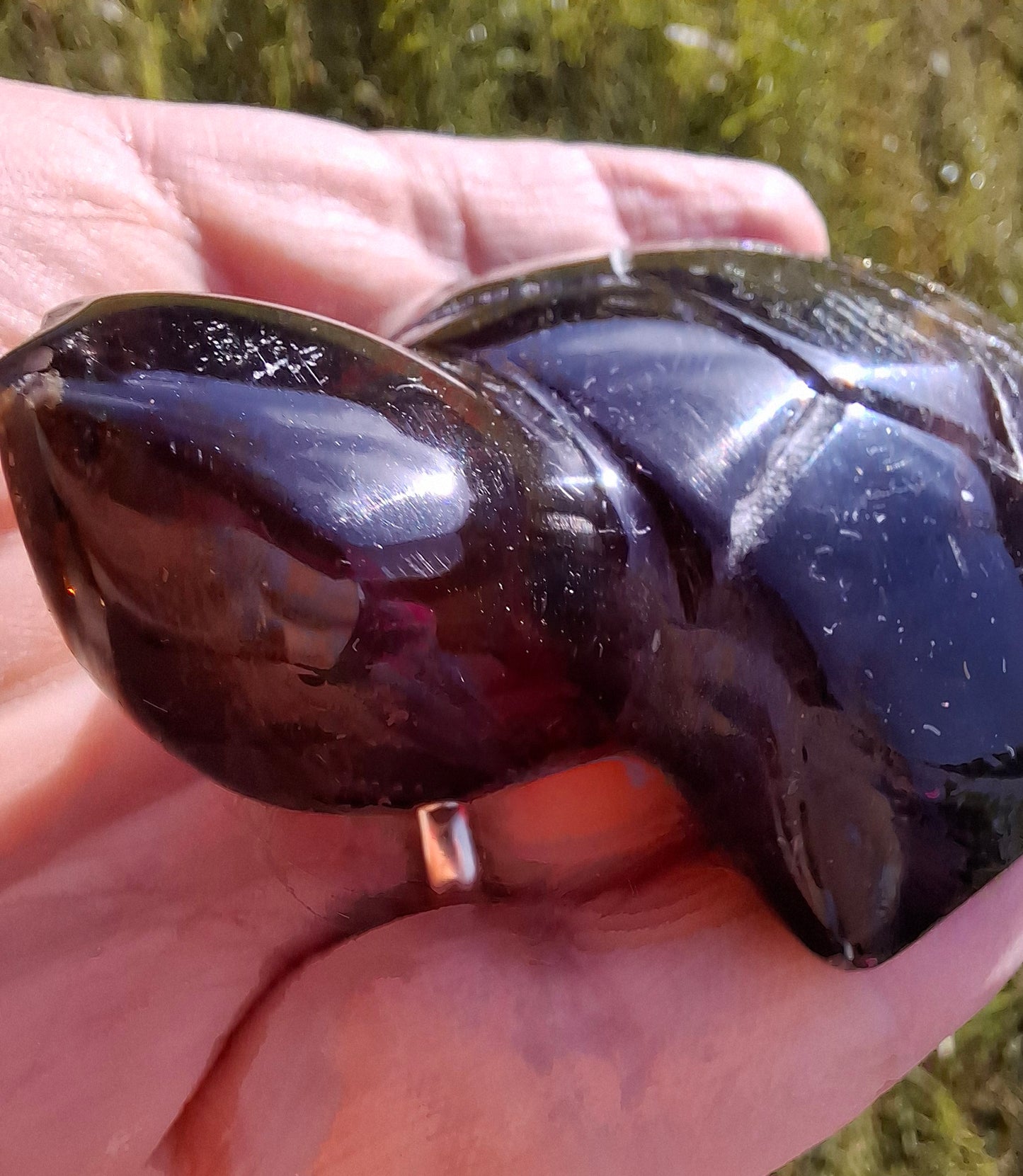 Red Amber Turtle, 52.00g, Carving, Fossil (Ref: TT3)